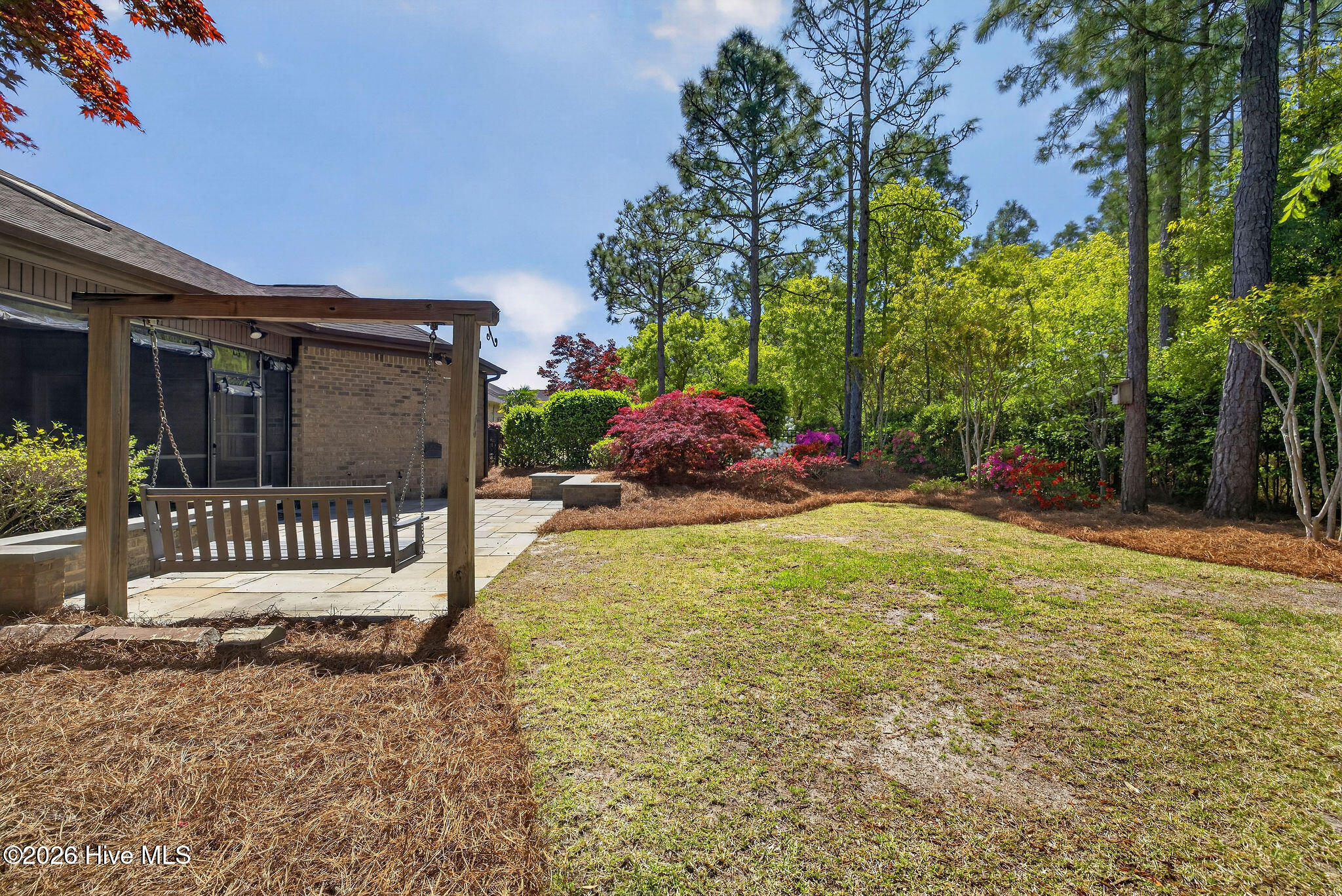 100566278 | Photo 51