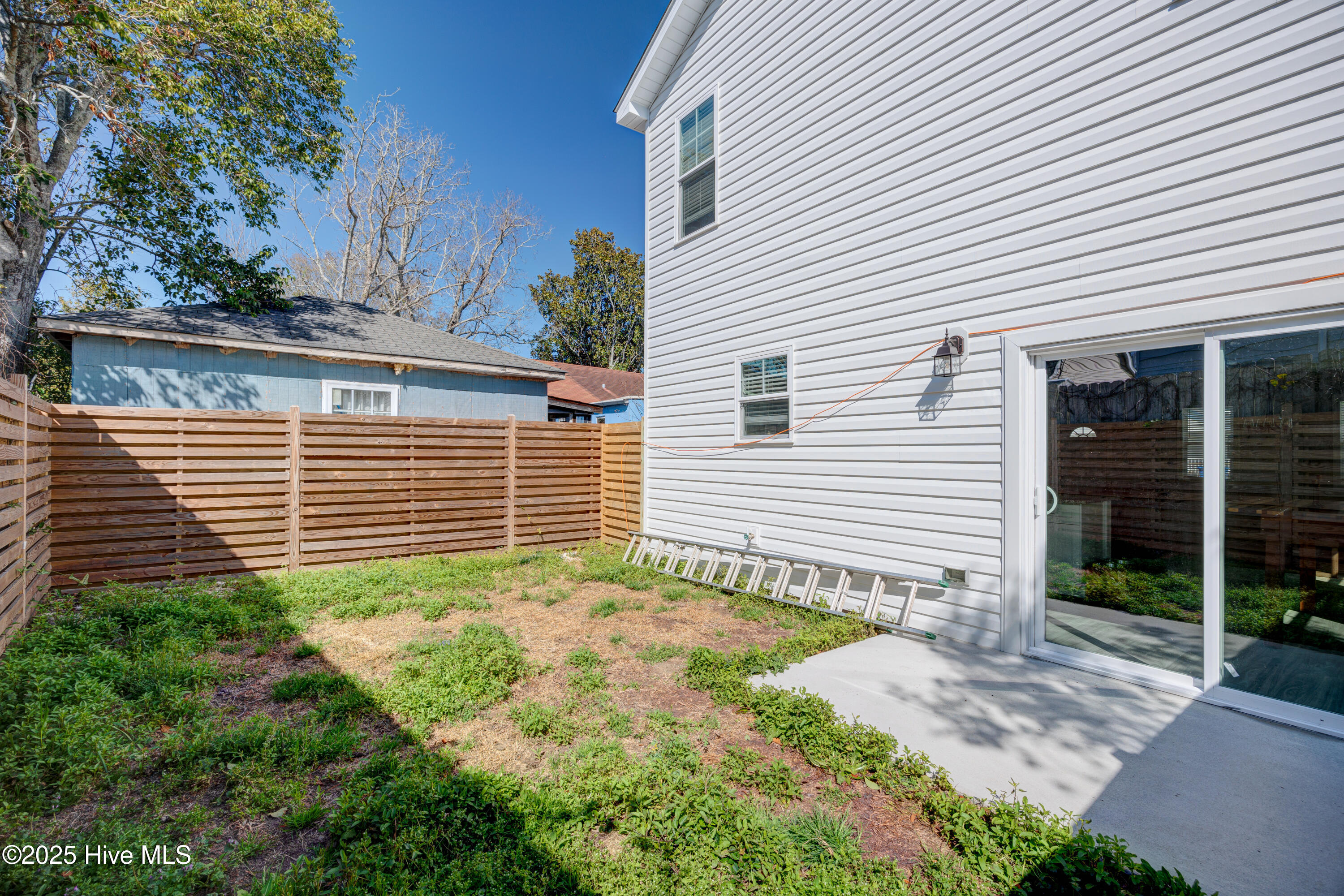 100494235 | Photo 11