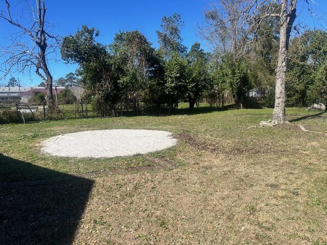 back yard
