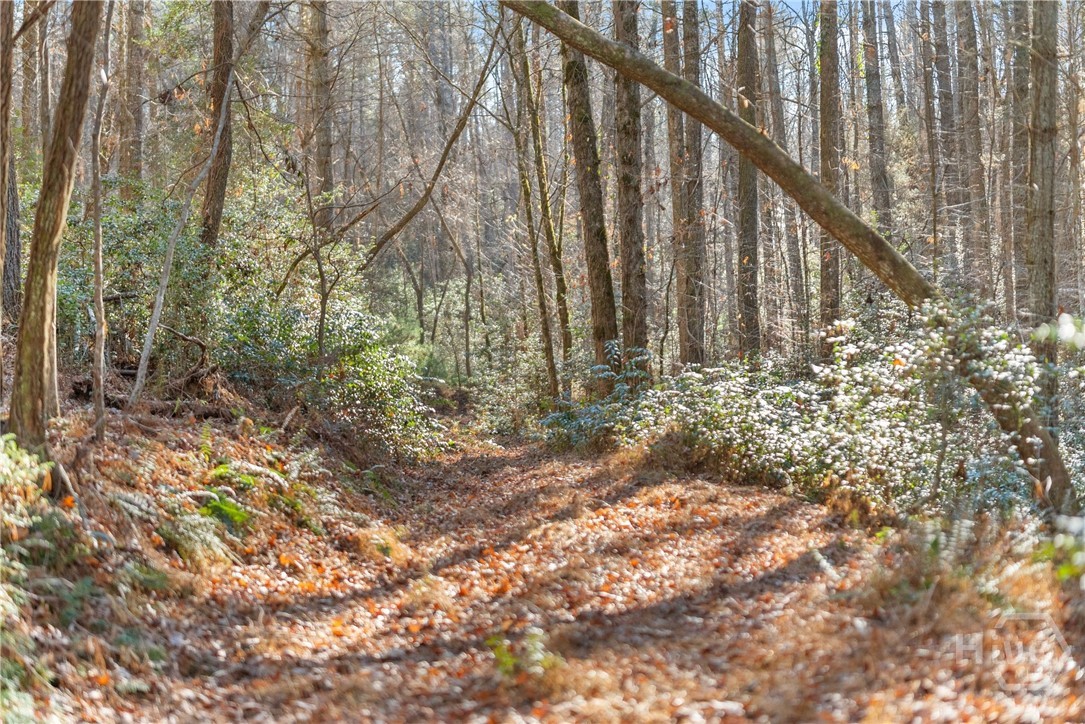 Shoal Creek Tract Habersham County