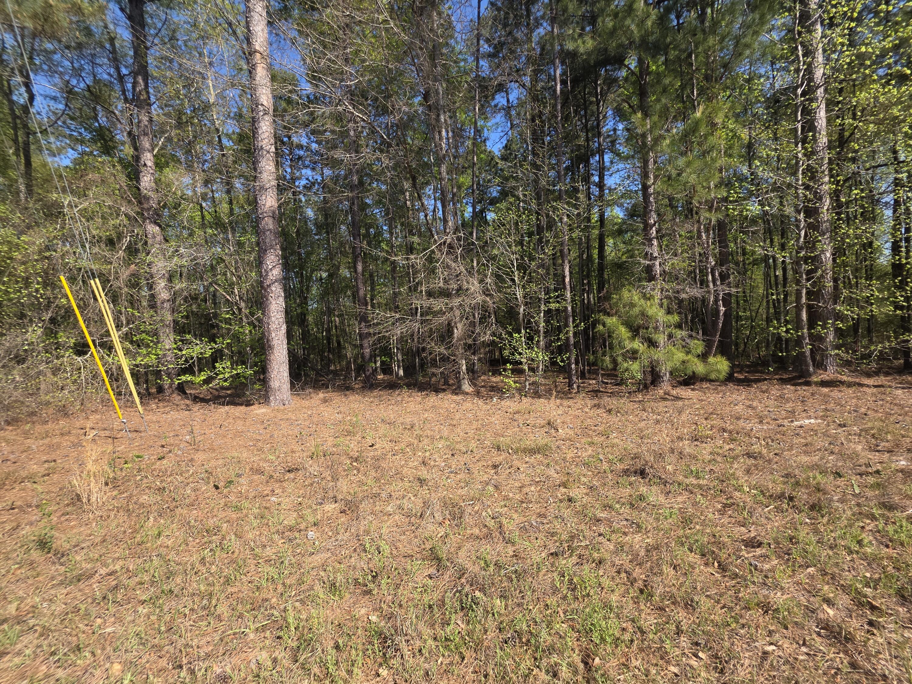 Tract B Georgia 102, Gibson, GA, 30810