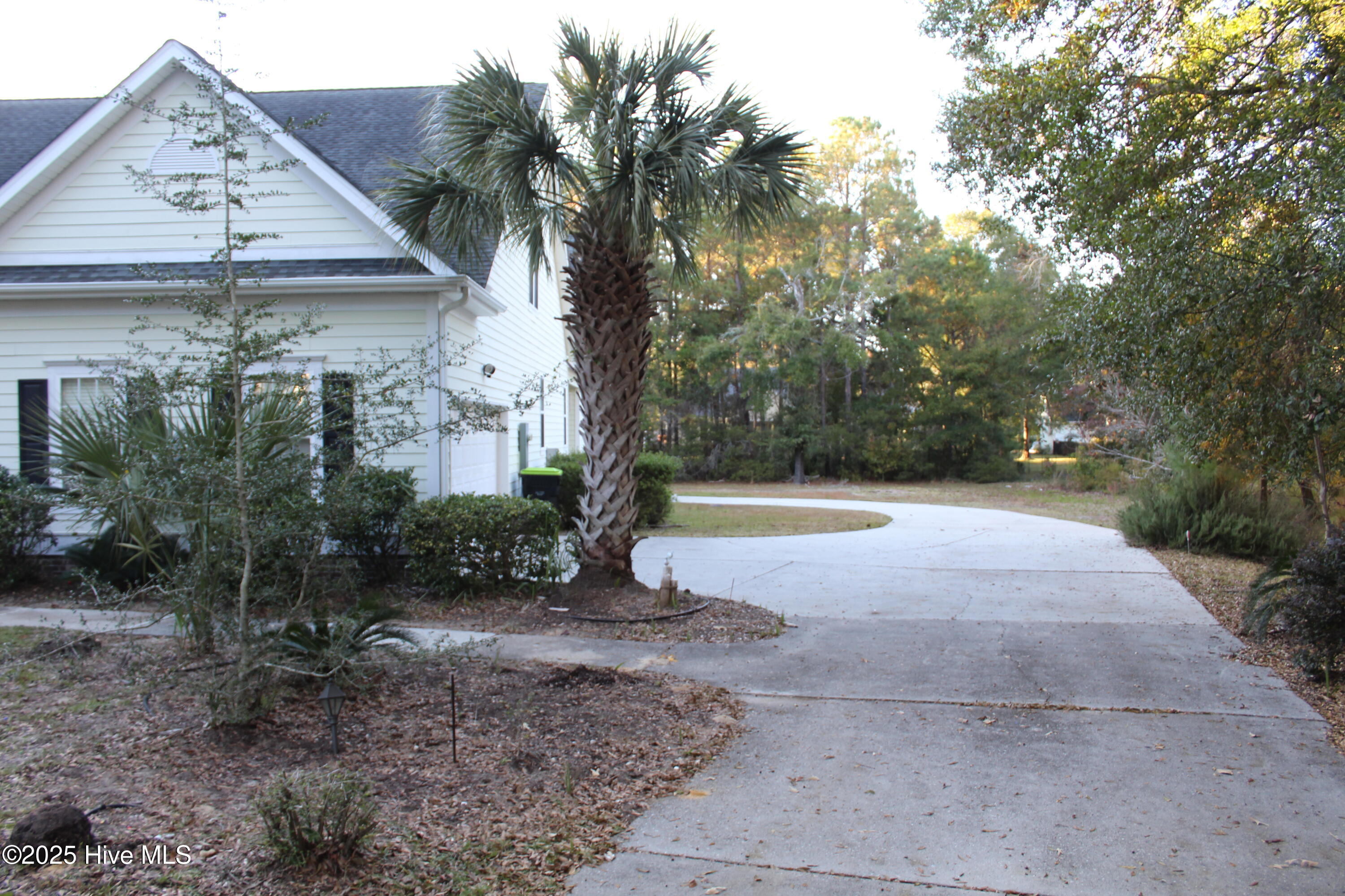 100540386 | Photo 22