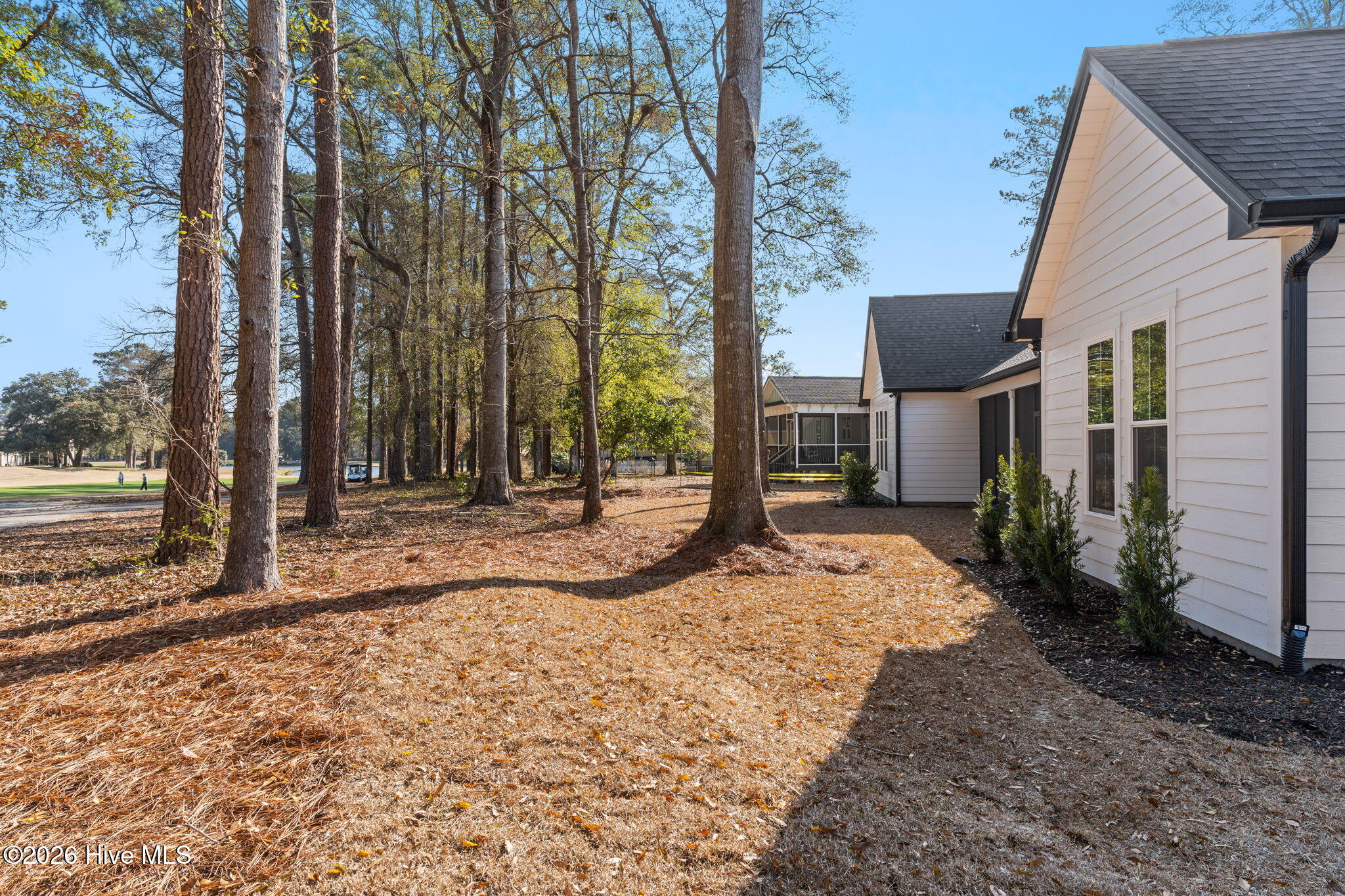 100558111 | Photo 42