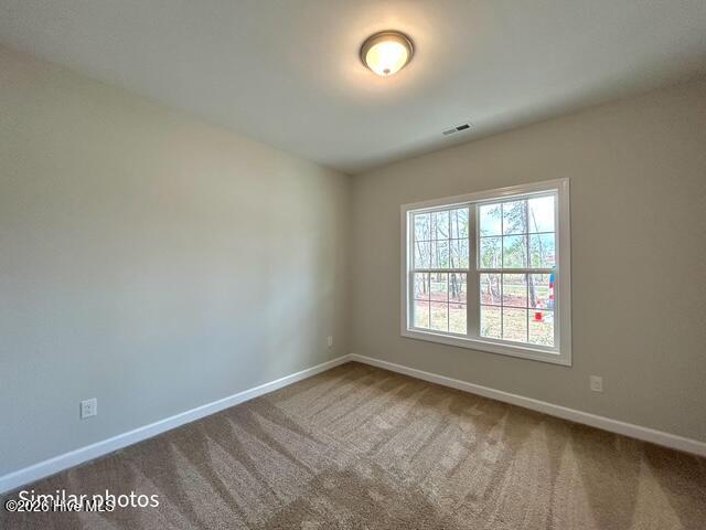 100562503 | Photo 41