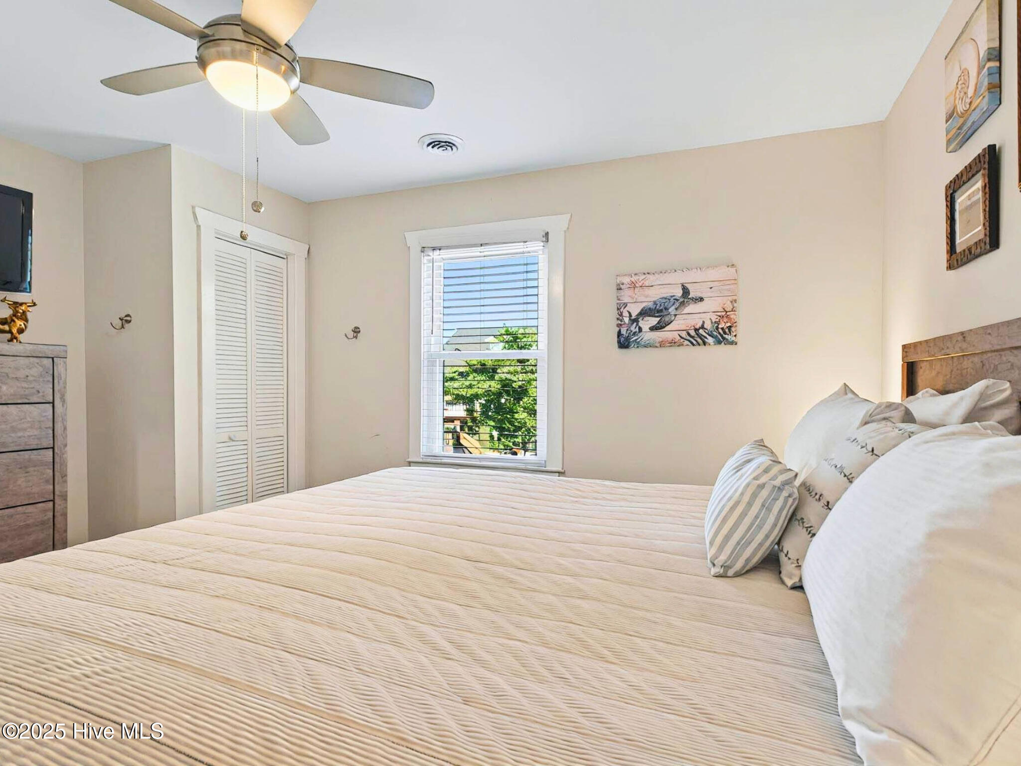 100504393 | Photo 24