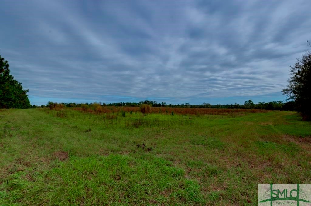 Undisclosed Address, Sylvania, GA, 30467