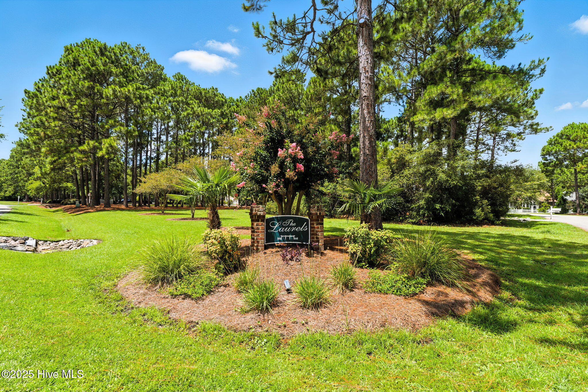 100523616 | Photo 45