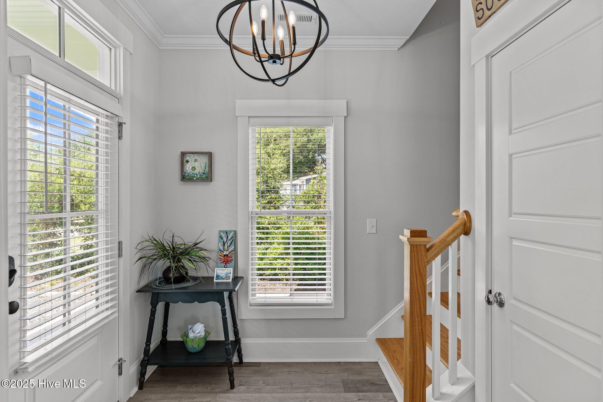 100517876 | Photo 45