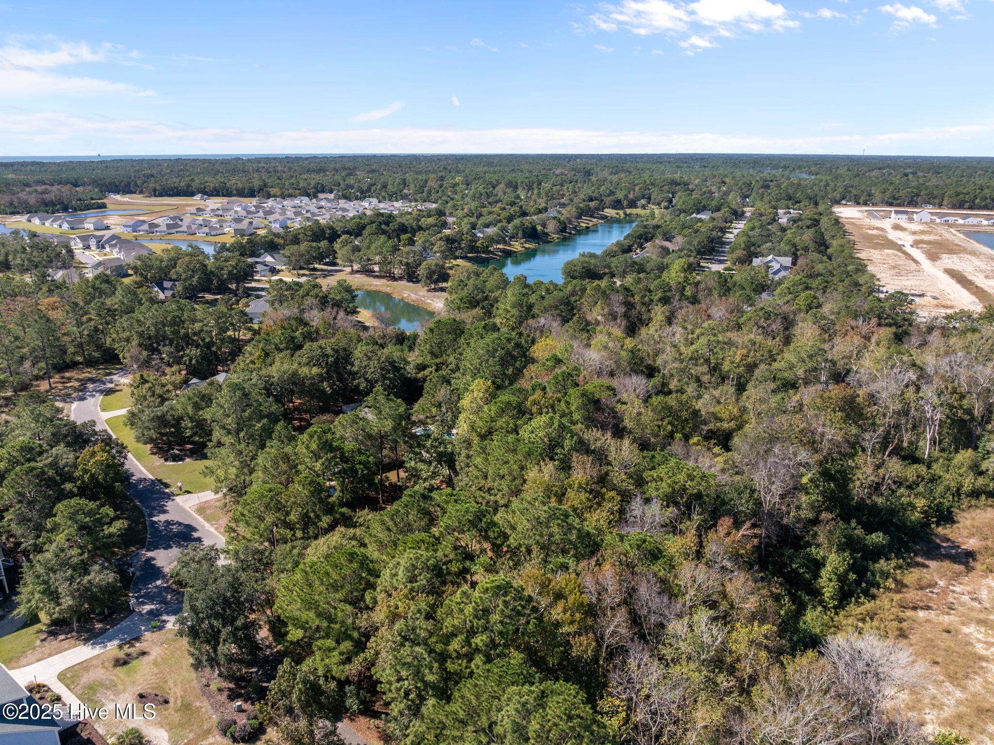 100537620 | Photo 10