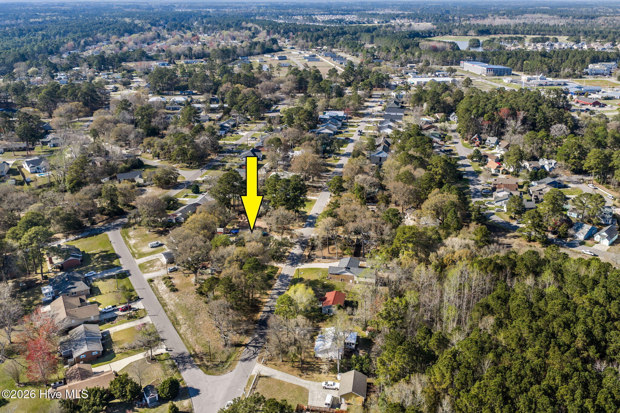 100564141 | Photo 37