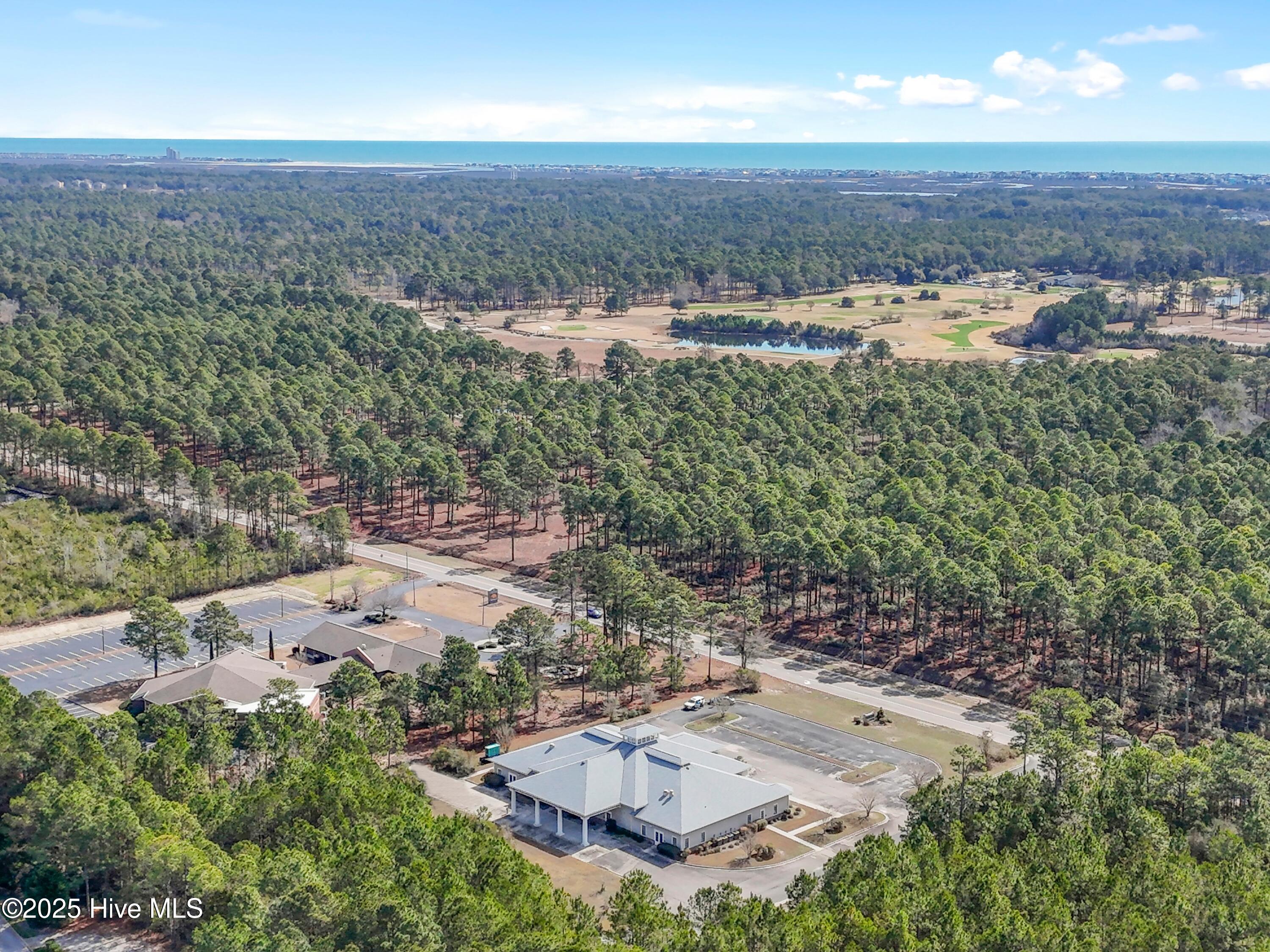 100491717 | Photo 102