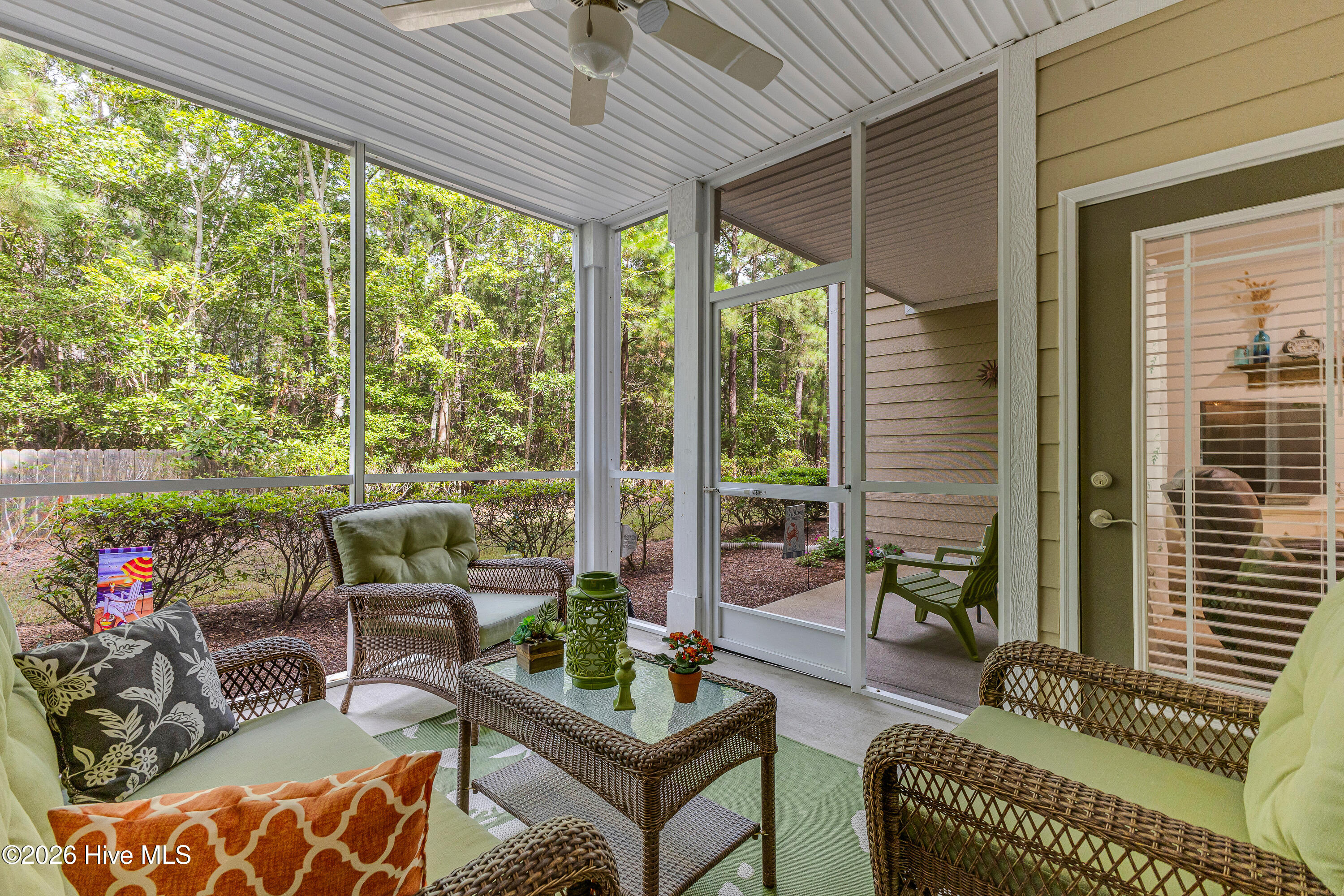 100555725 | Photo 35