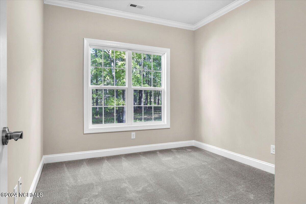 100535365 | Photo 13