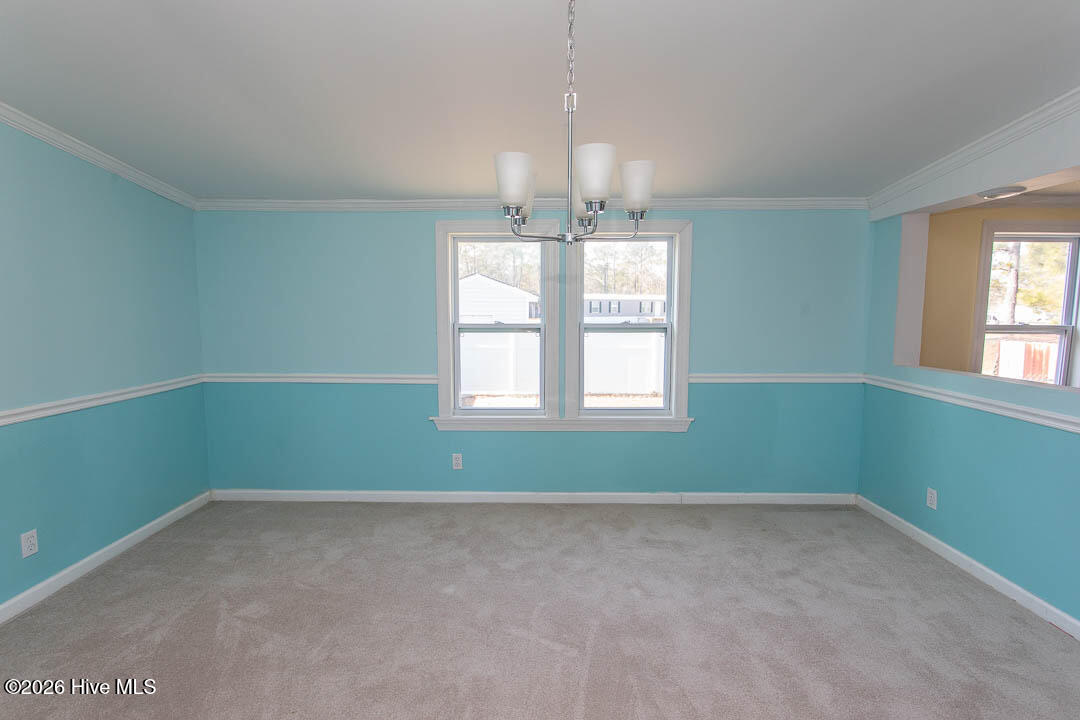 100549919 | Photo 19