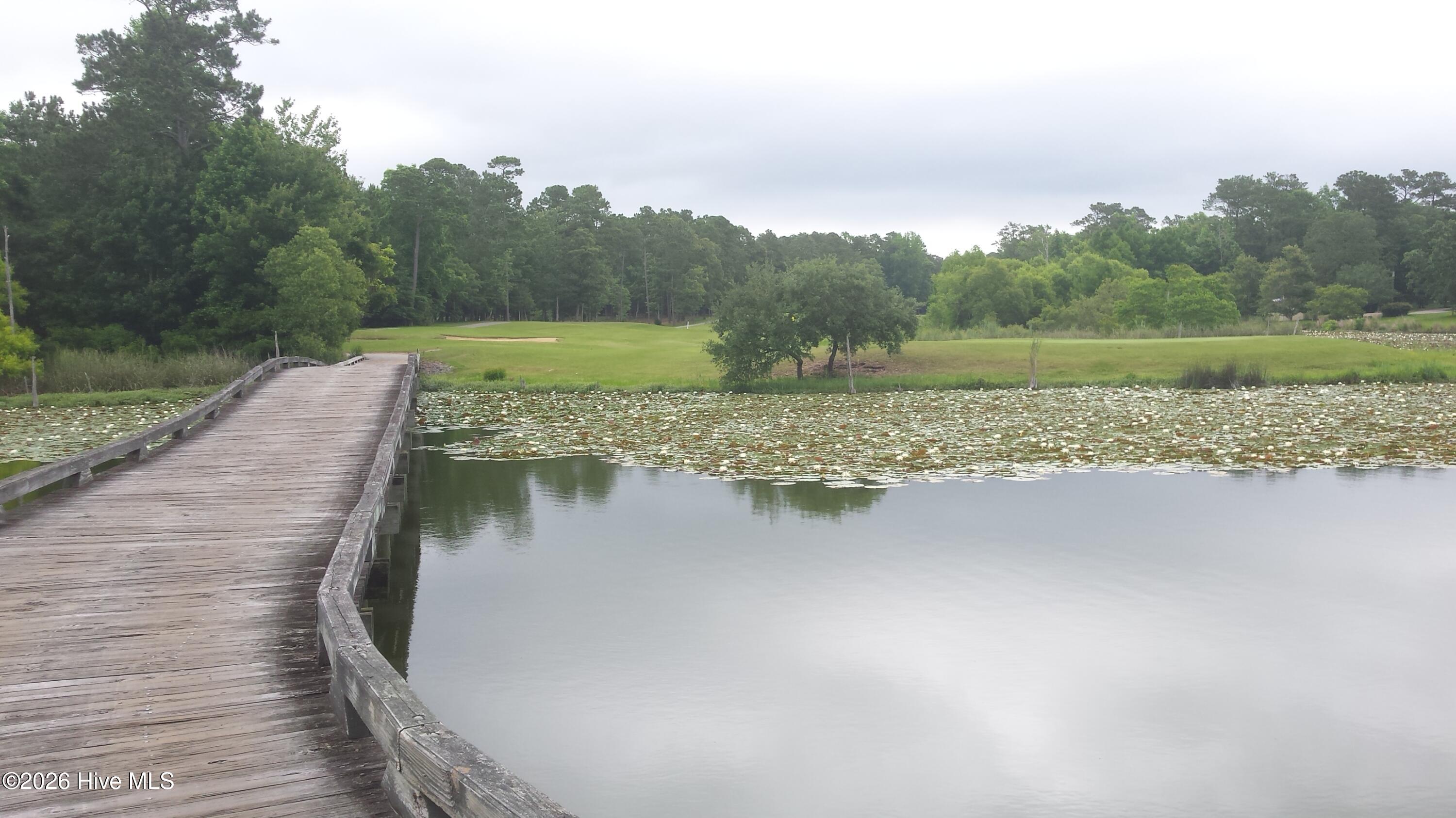 100558033 | Photo 14