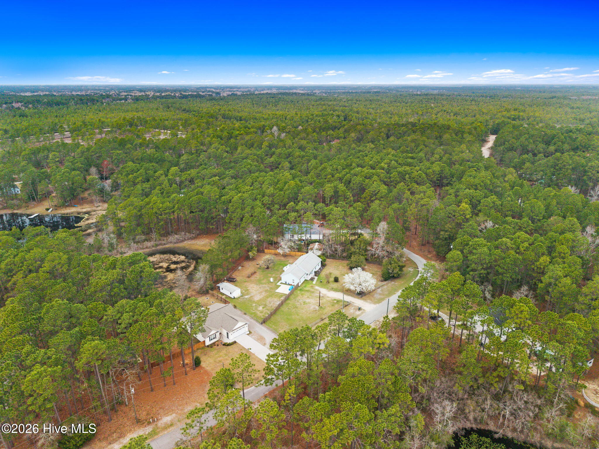 100559662 | Photo 54