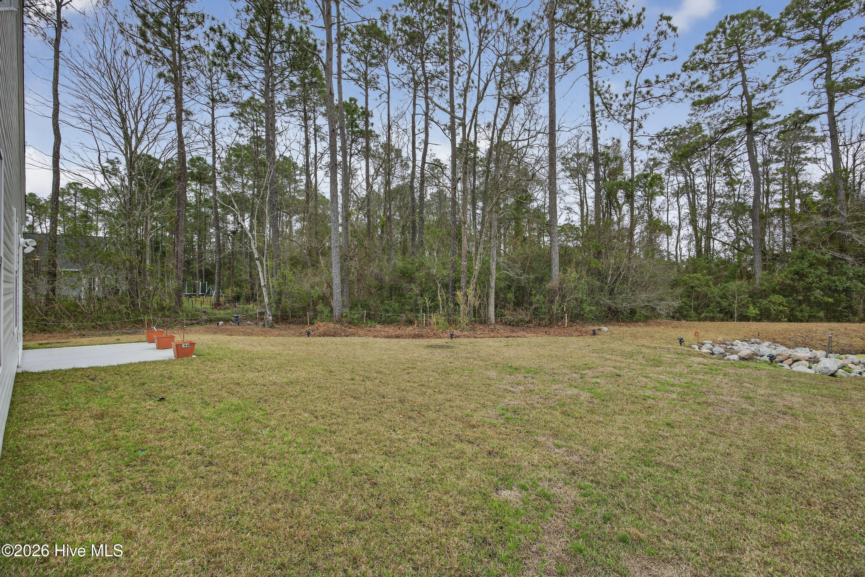 100560520 | Photo 13