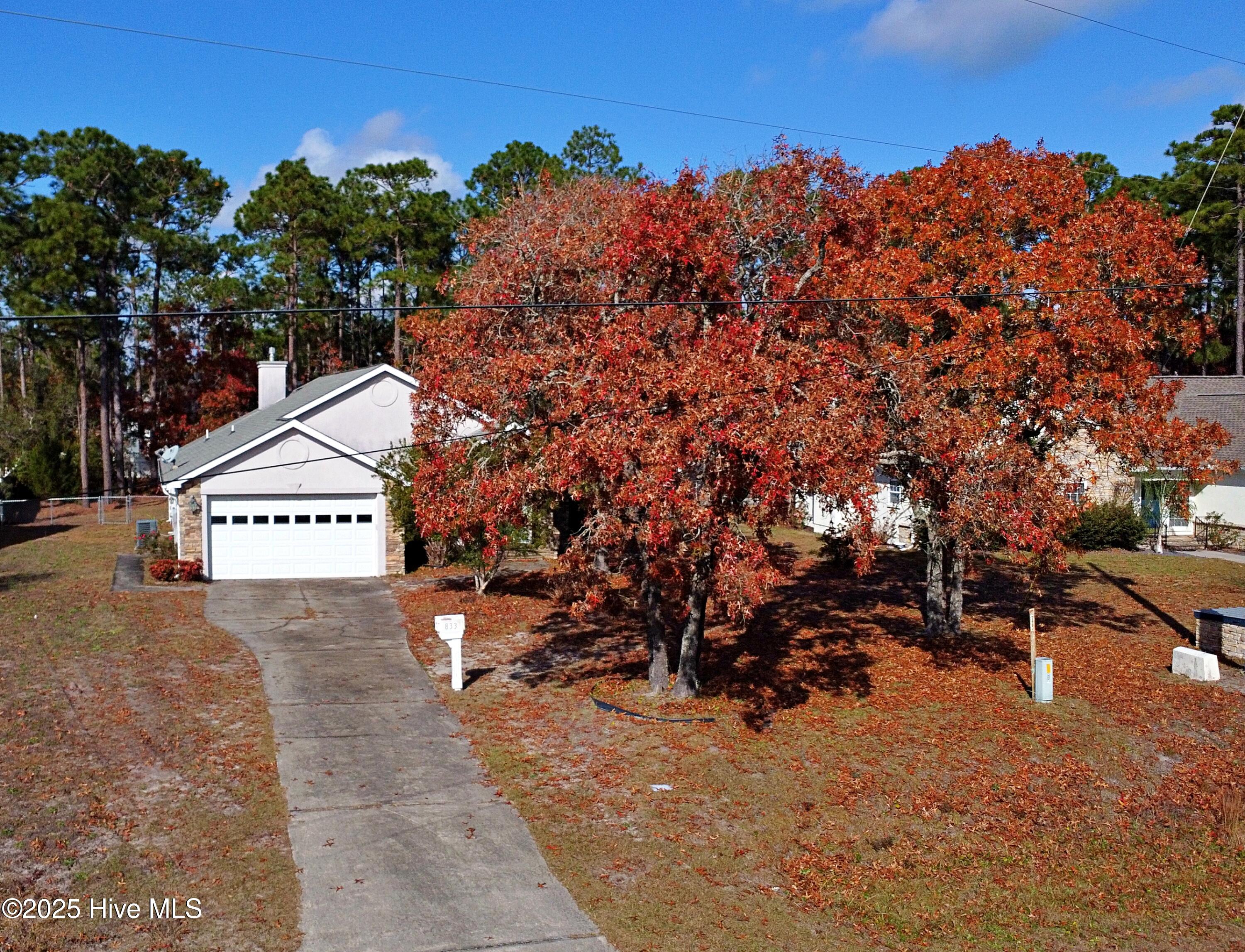 100543603 | Photo 49