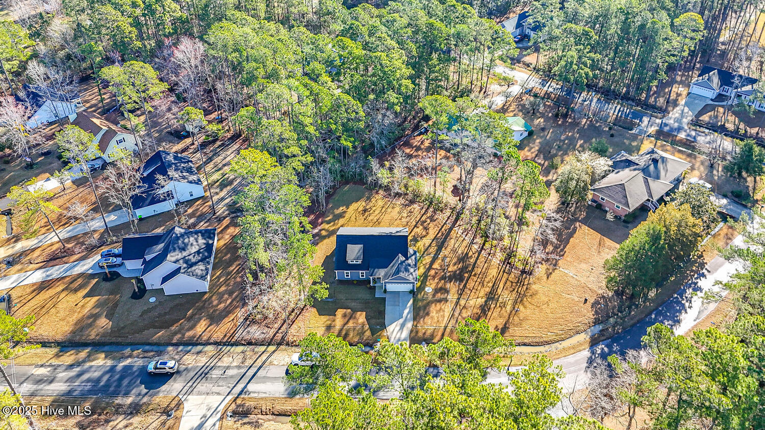 100541547 | Photo 43