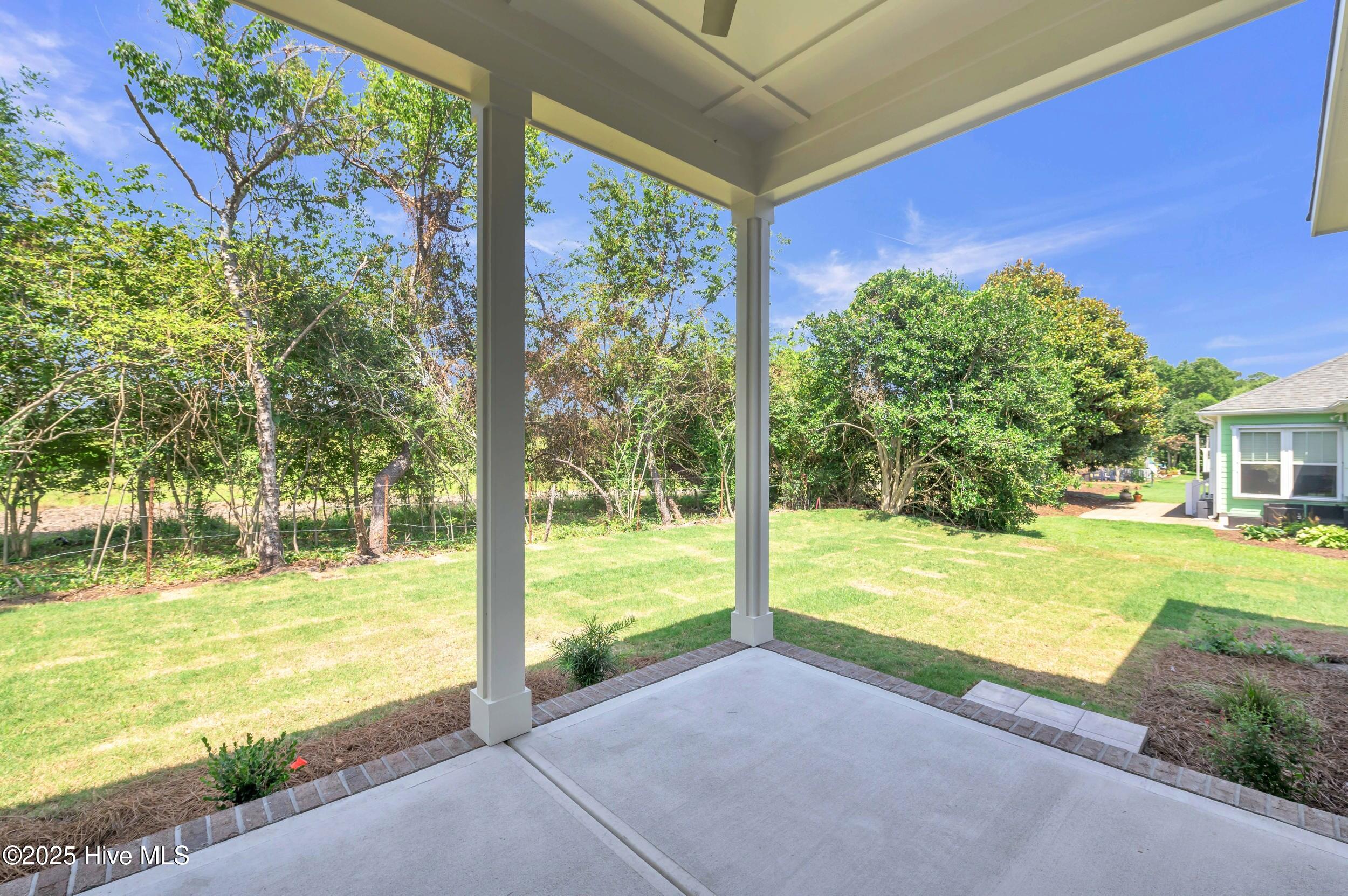 100542889 | Photo 38