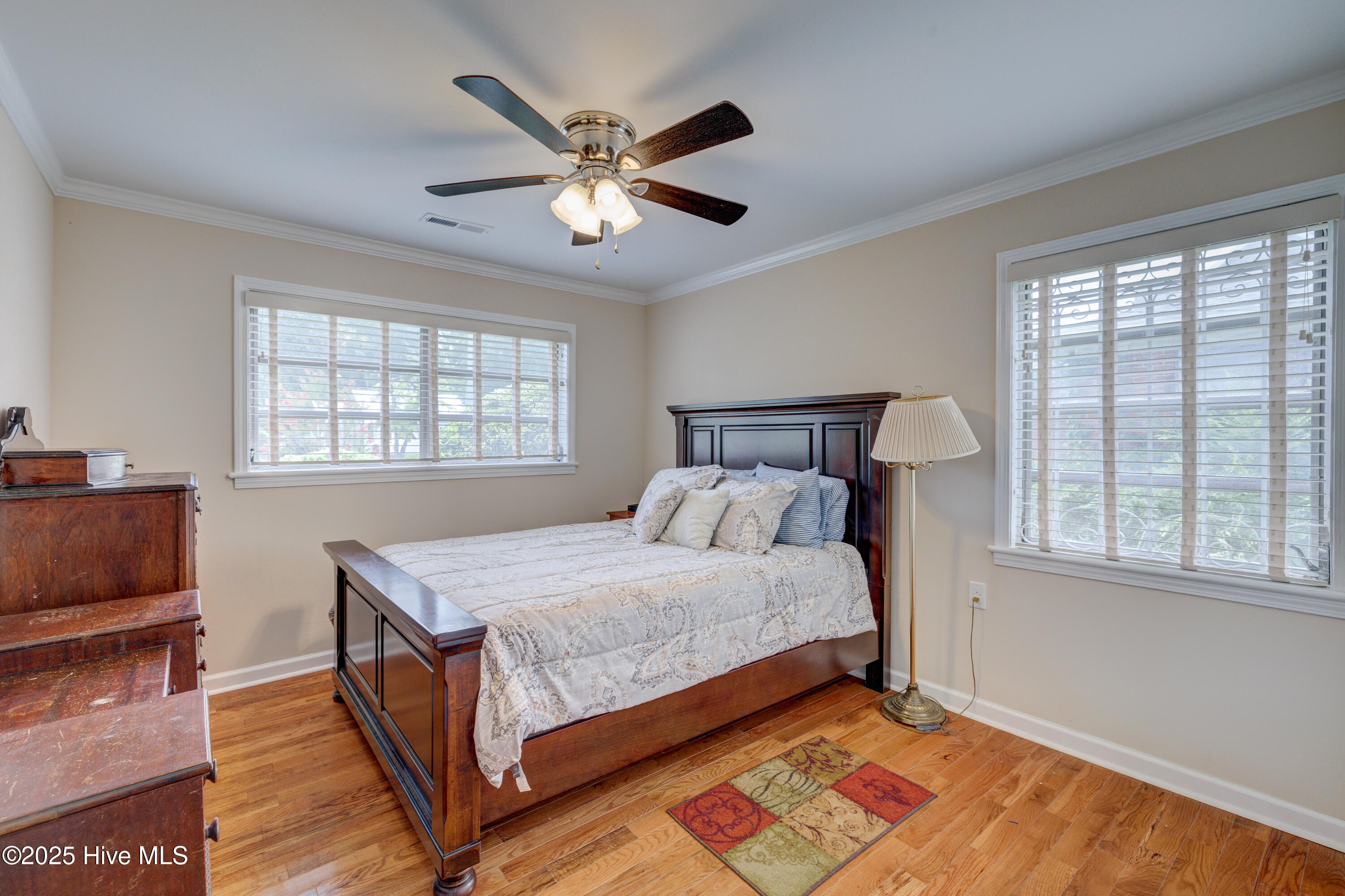 100523931 | Photo 30