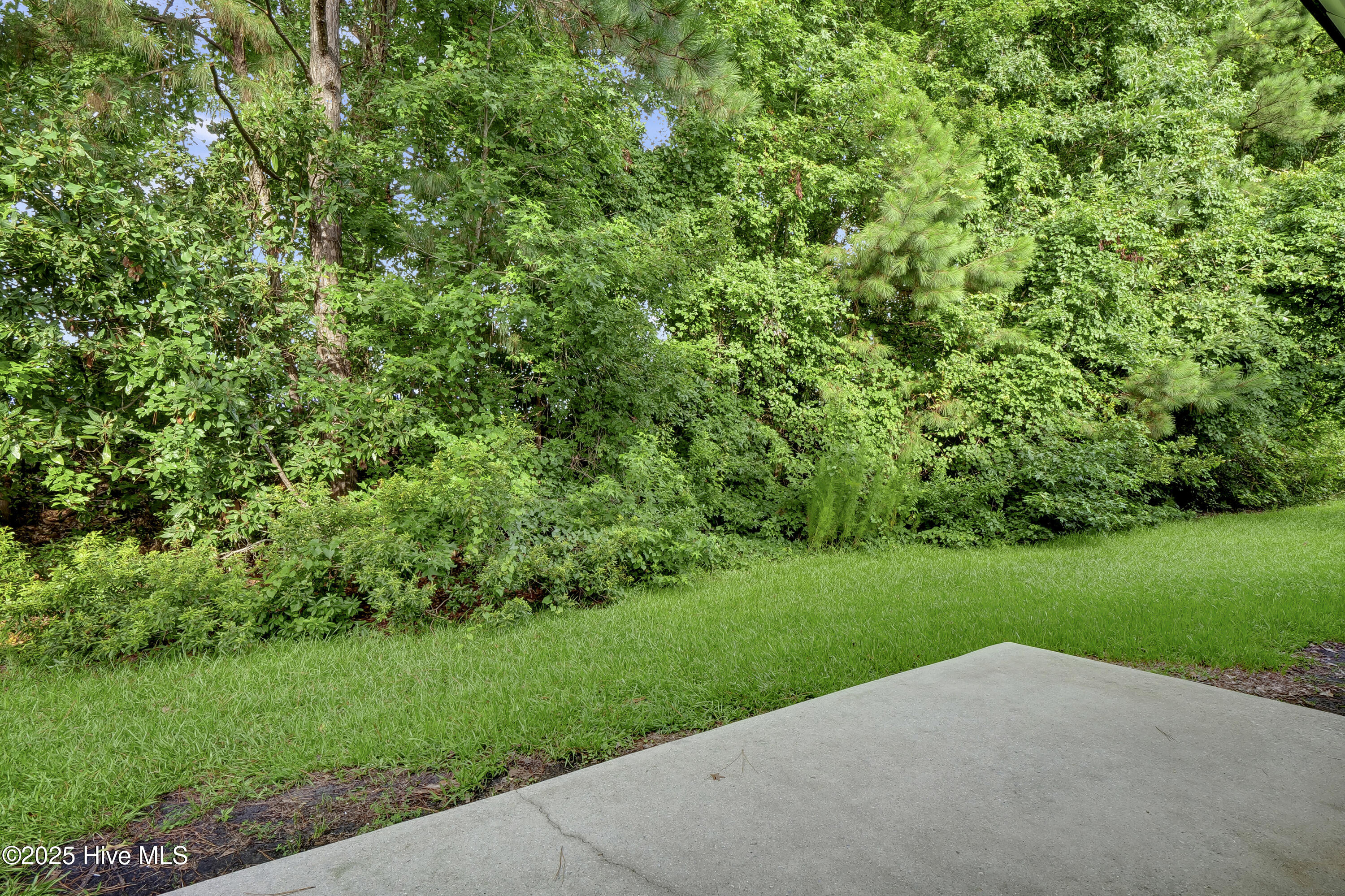 100519530 | Photo 27