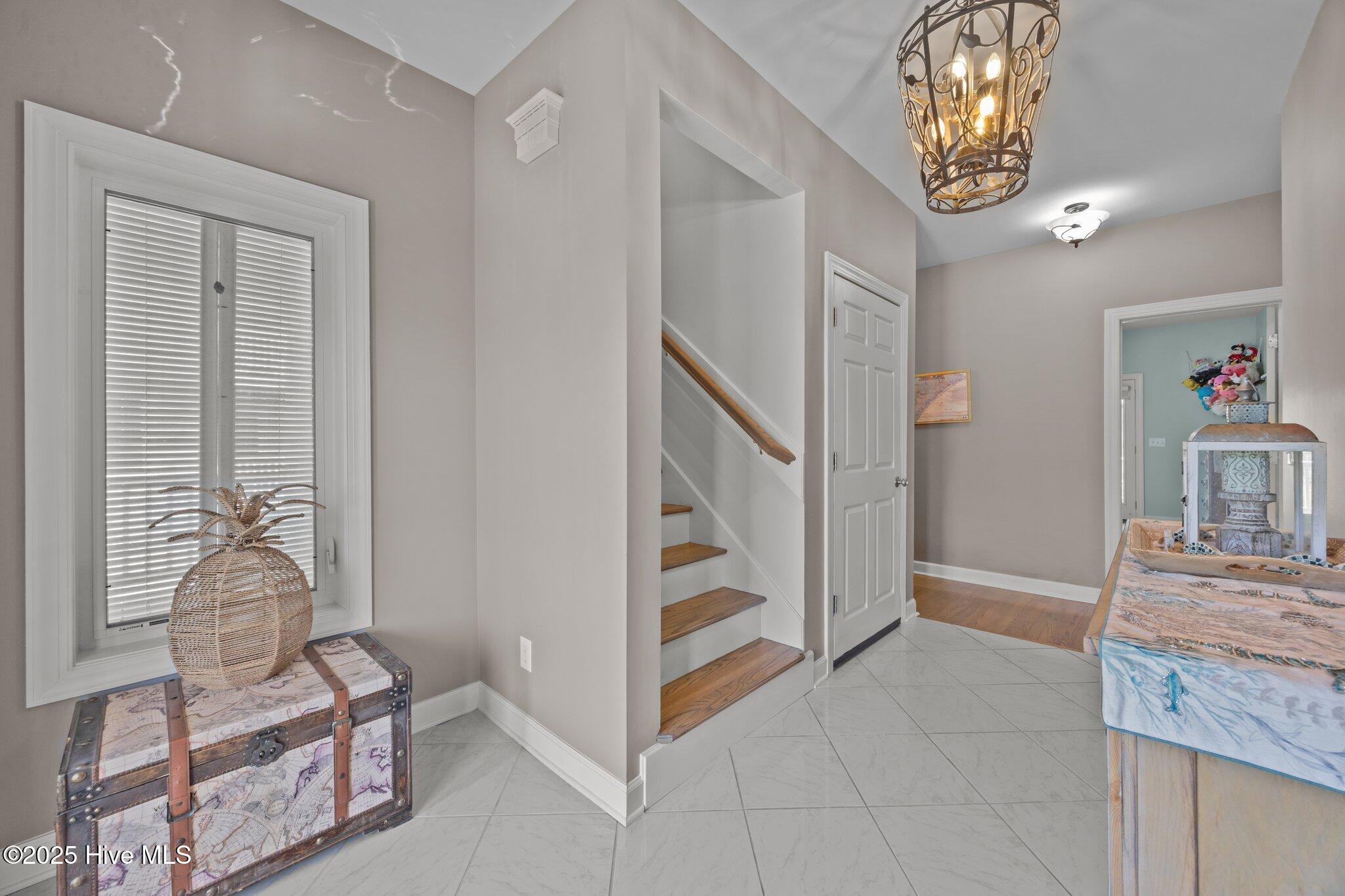 100517402 | Photo 13