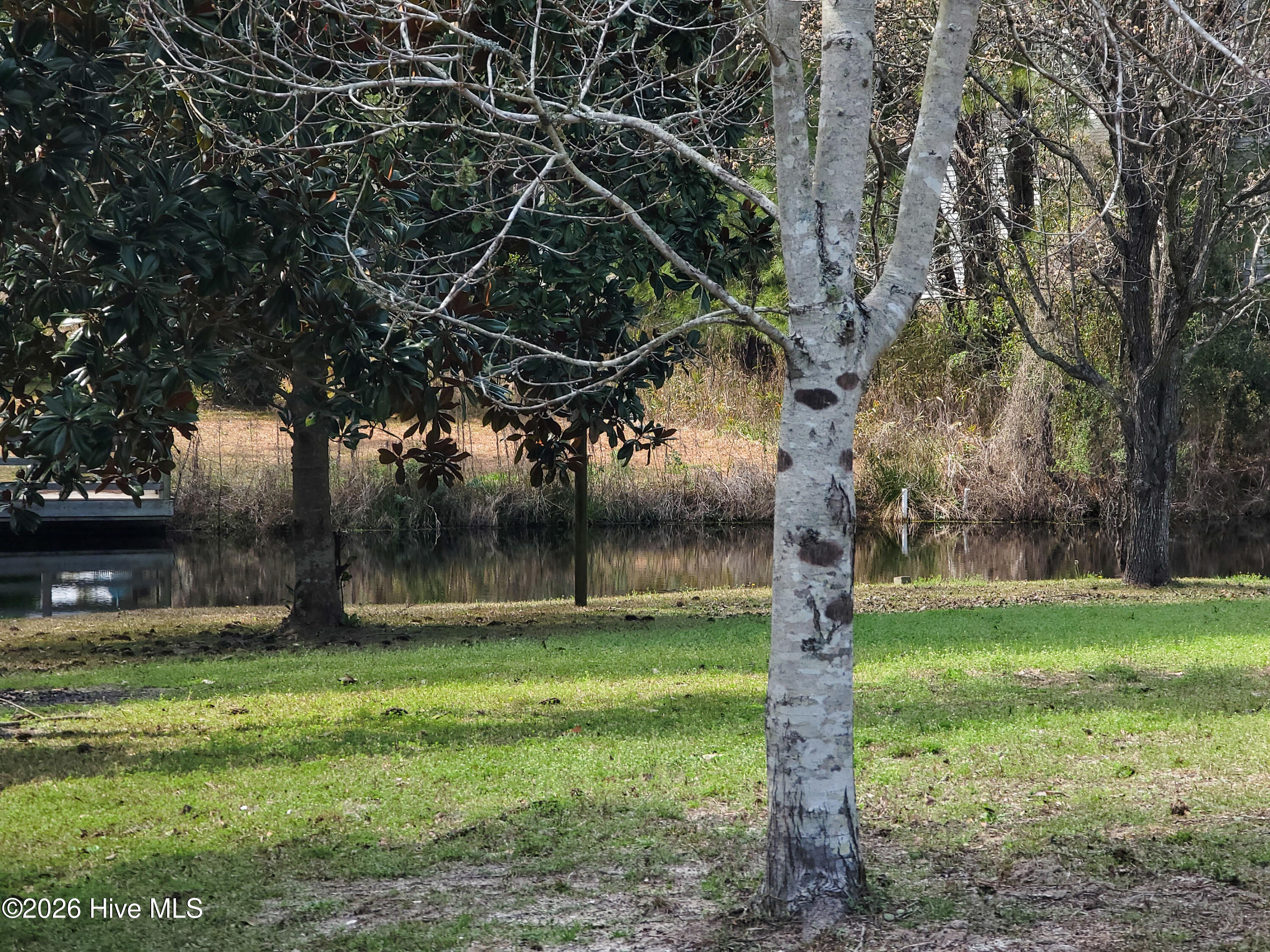 100560378 | Photo 12