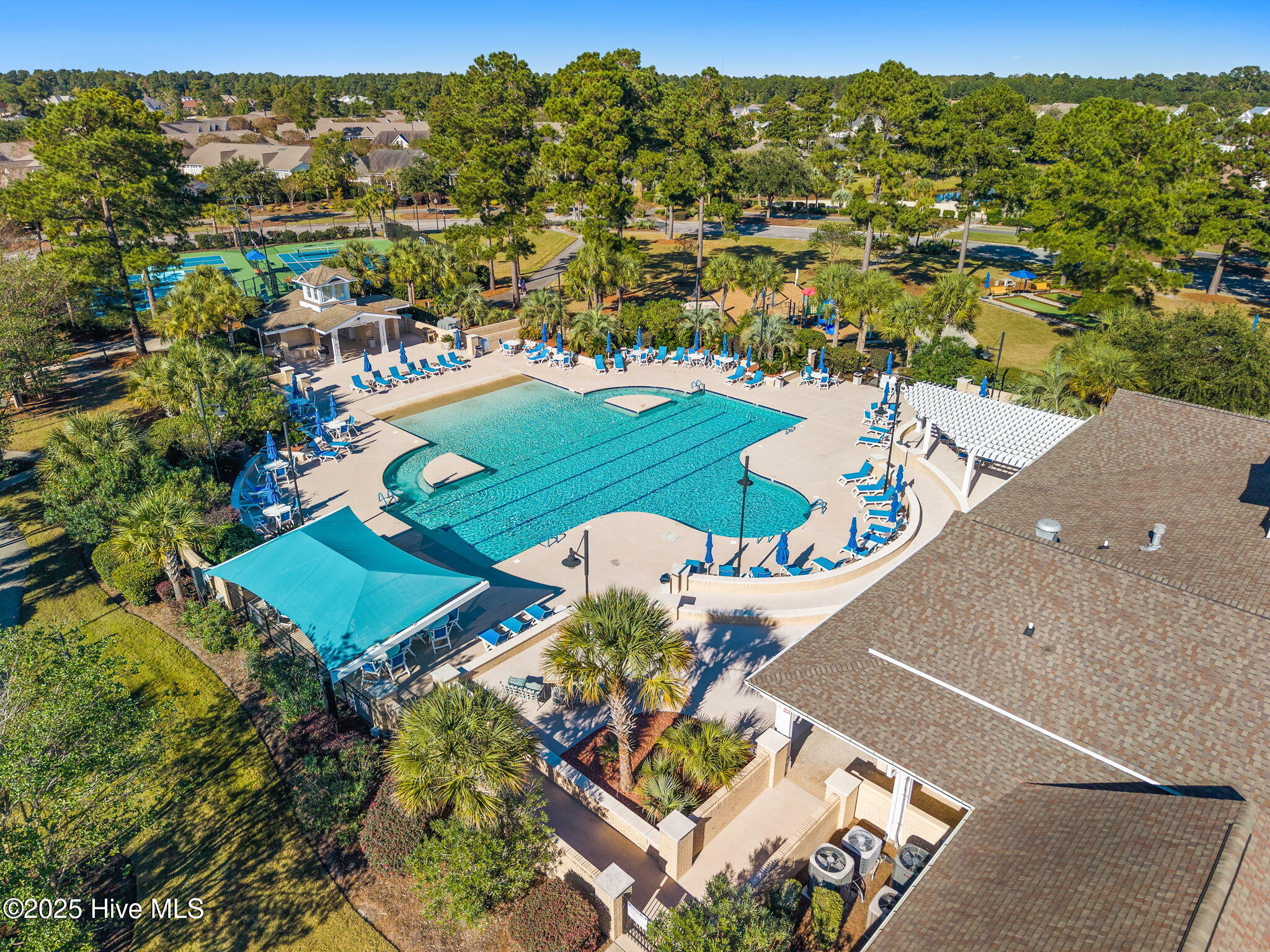 100538091 | Photo 74