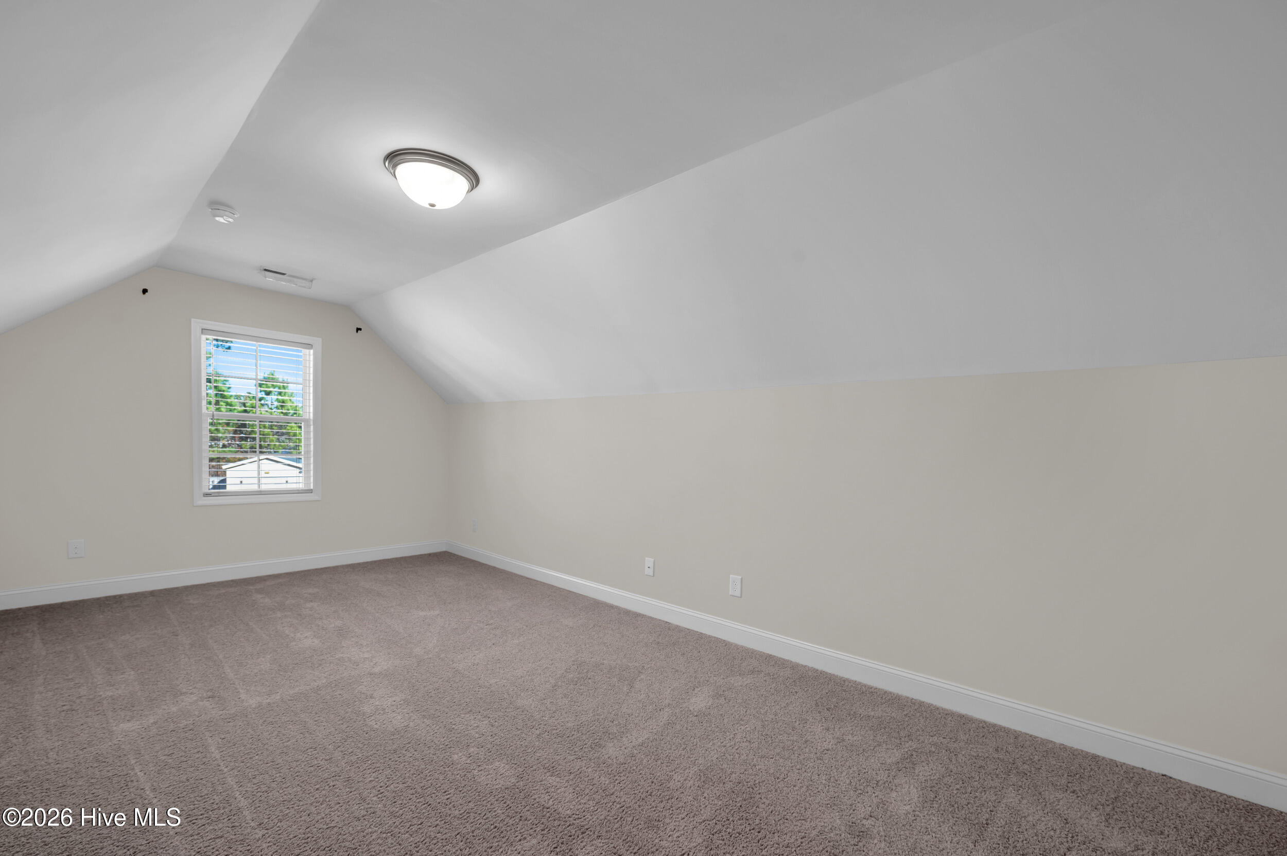 100542089 | Photo 34