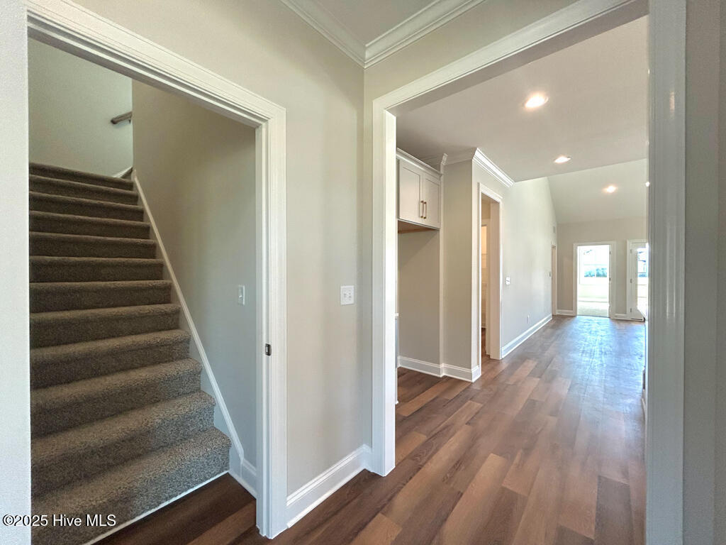 100510187 | Photo 22