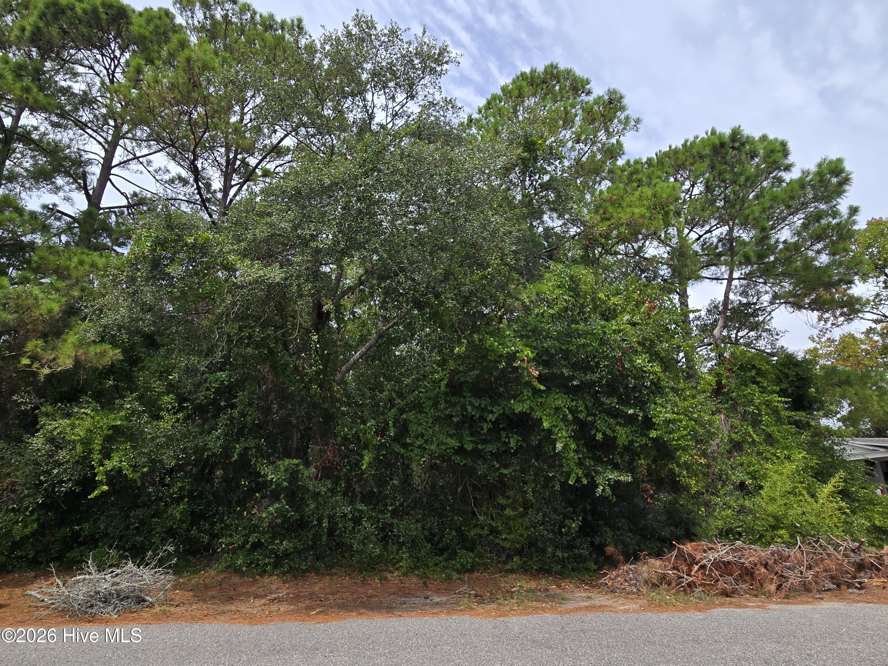 Carolina Barrier Islands