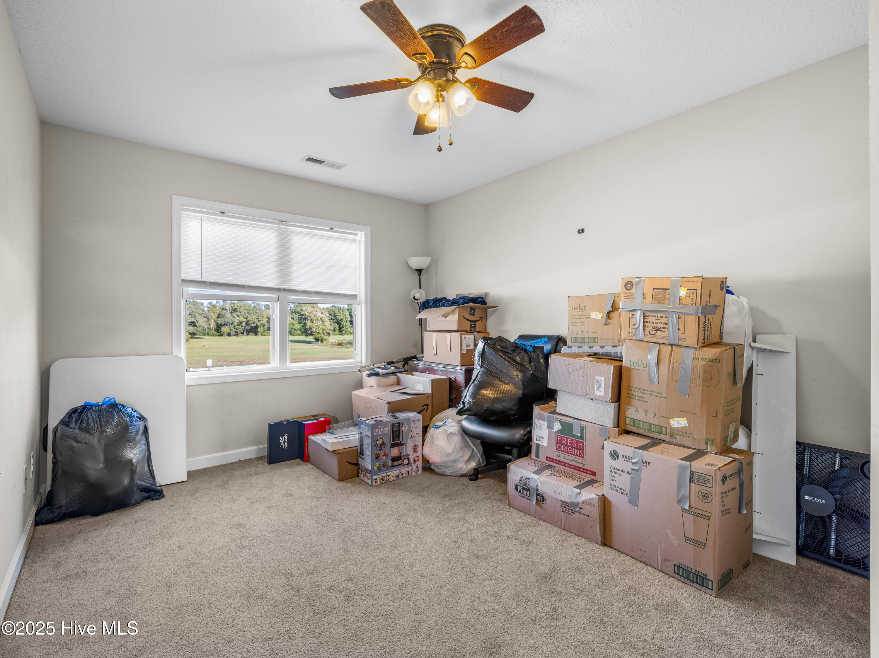 100538122 | Photo 37