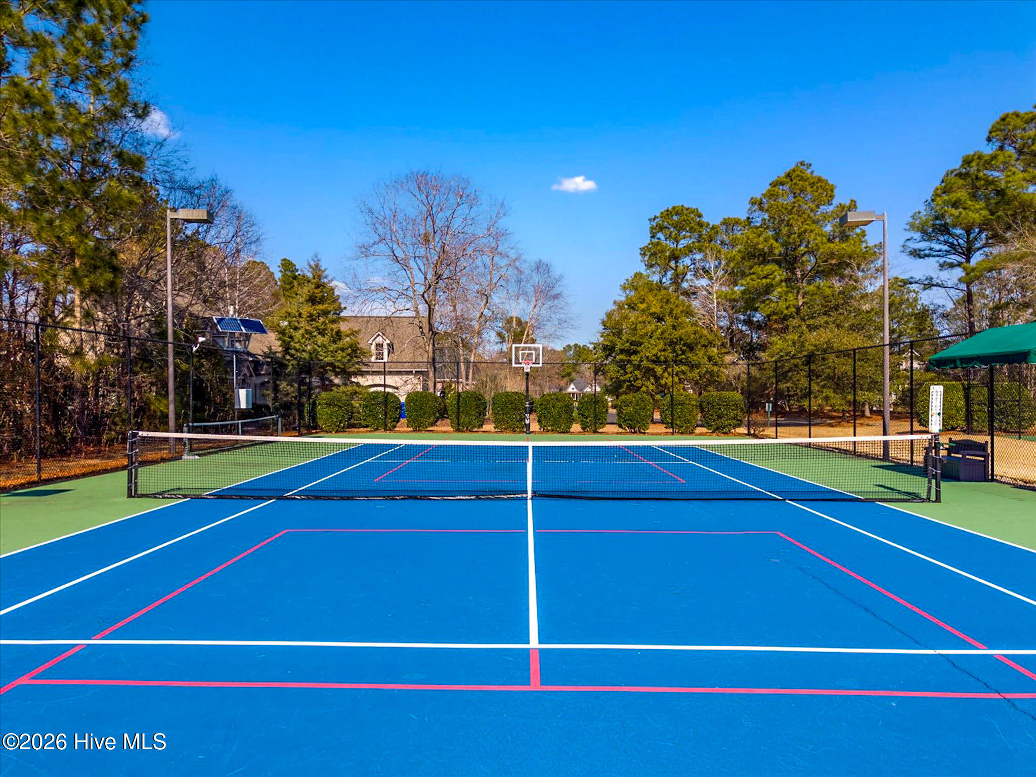 100554989 | Photo 57