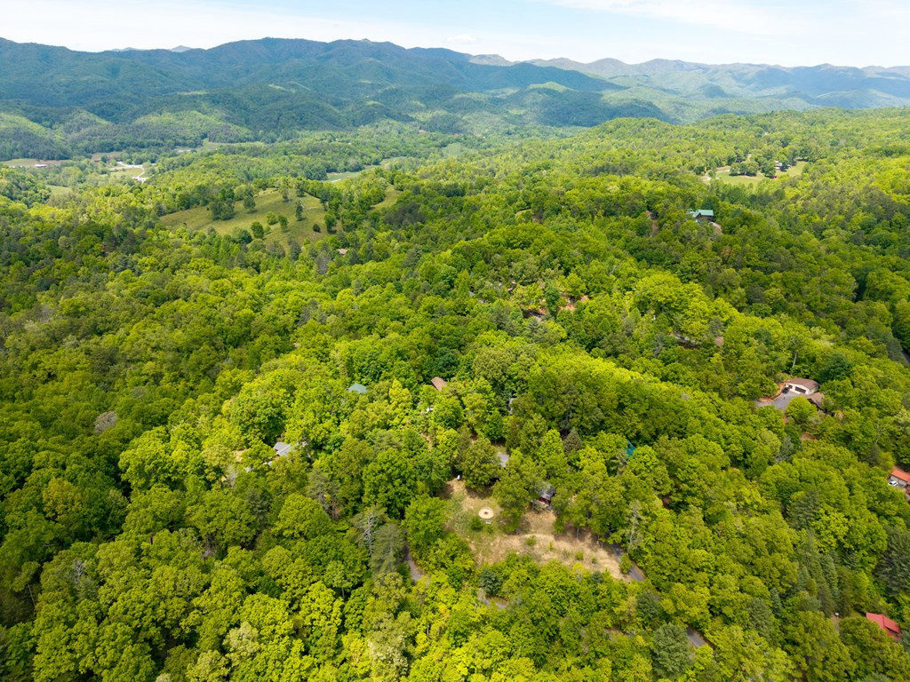175 Scenic Highlands Drive, Marble, NC 28905 Listing Photo  41