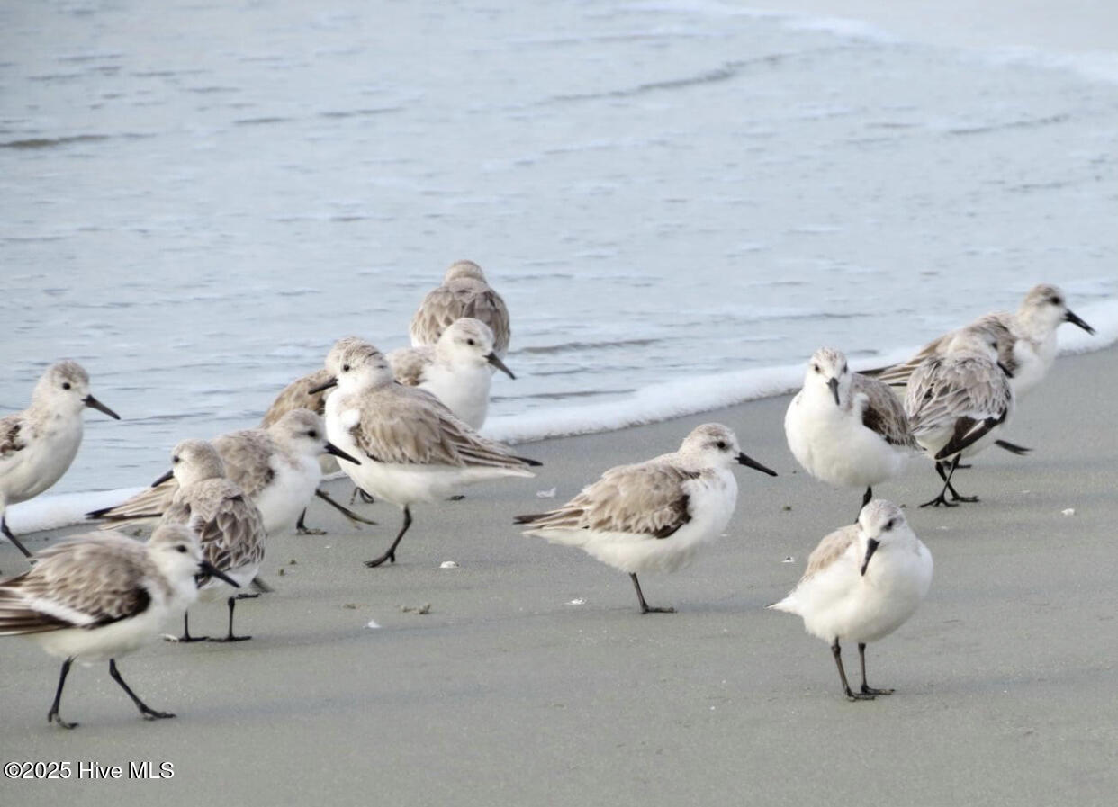 100558918 | Photo 63