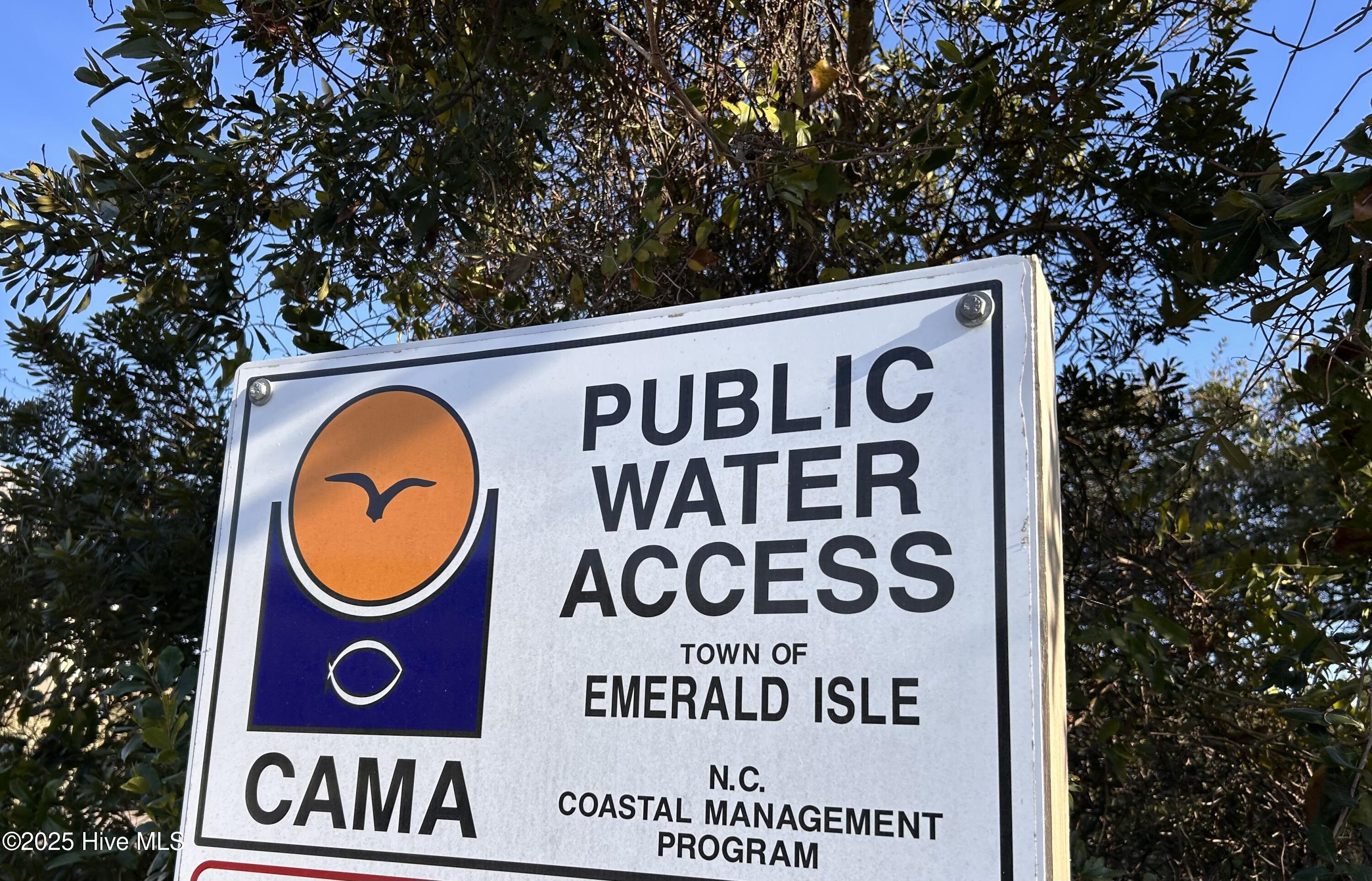 100498545 | Photo 67