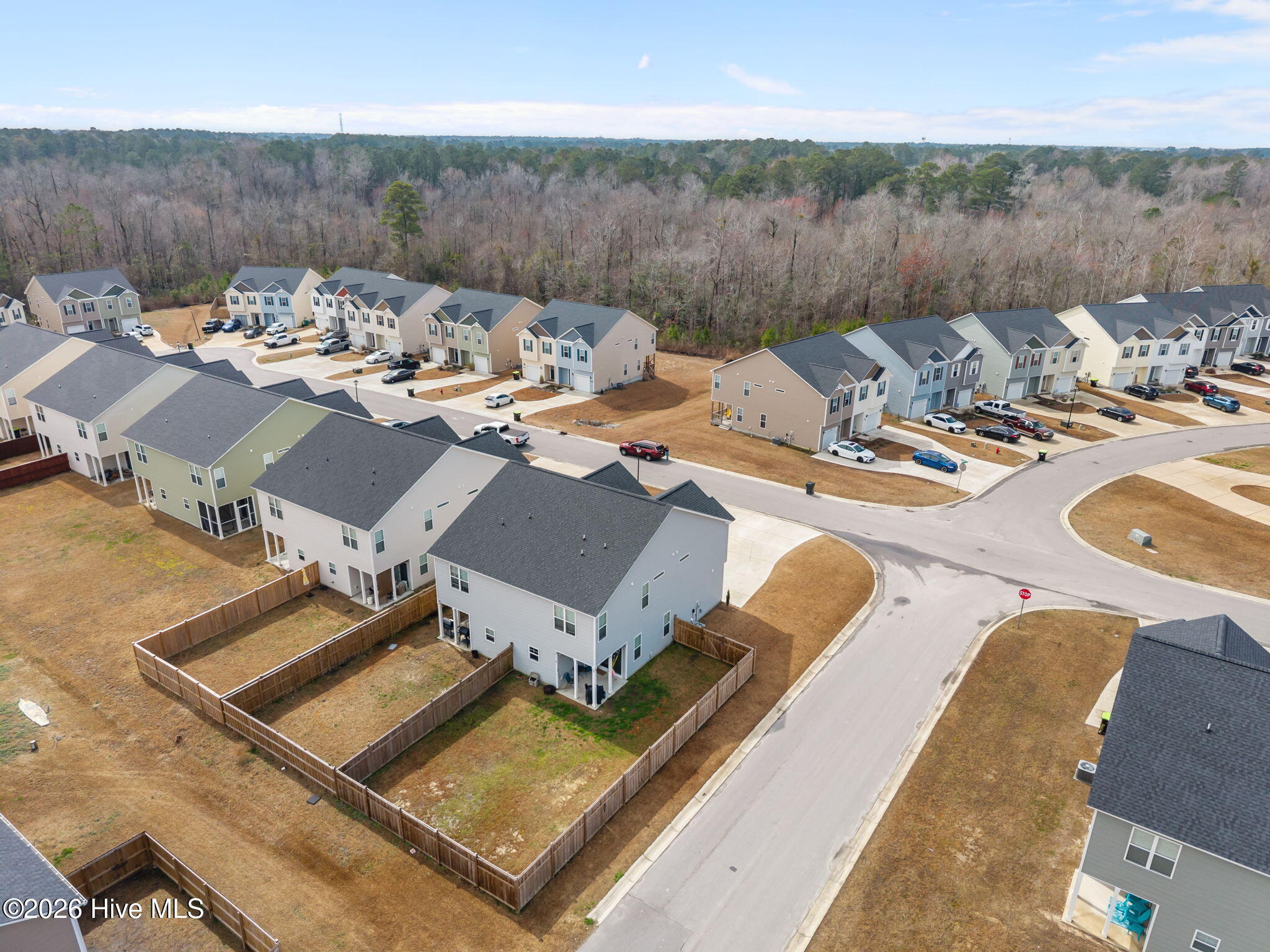 100557596 | Photo 35