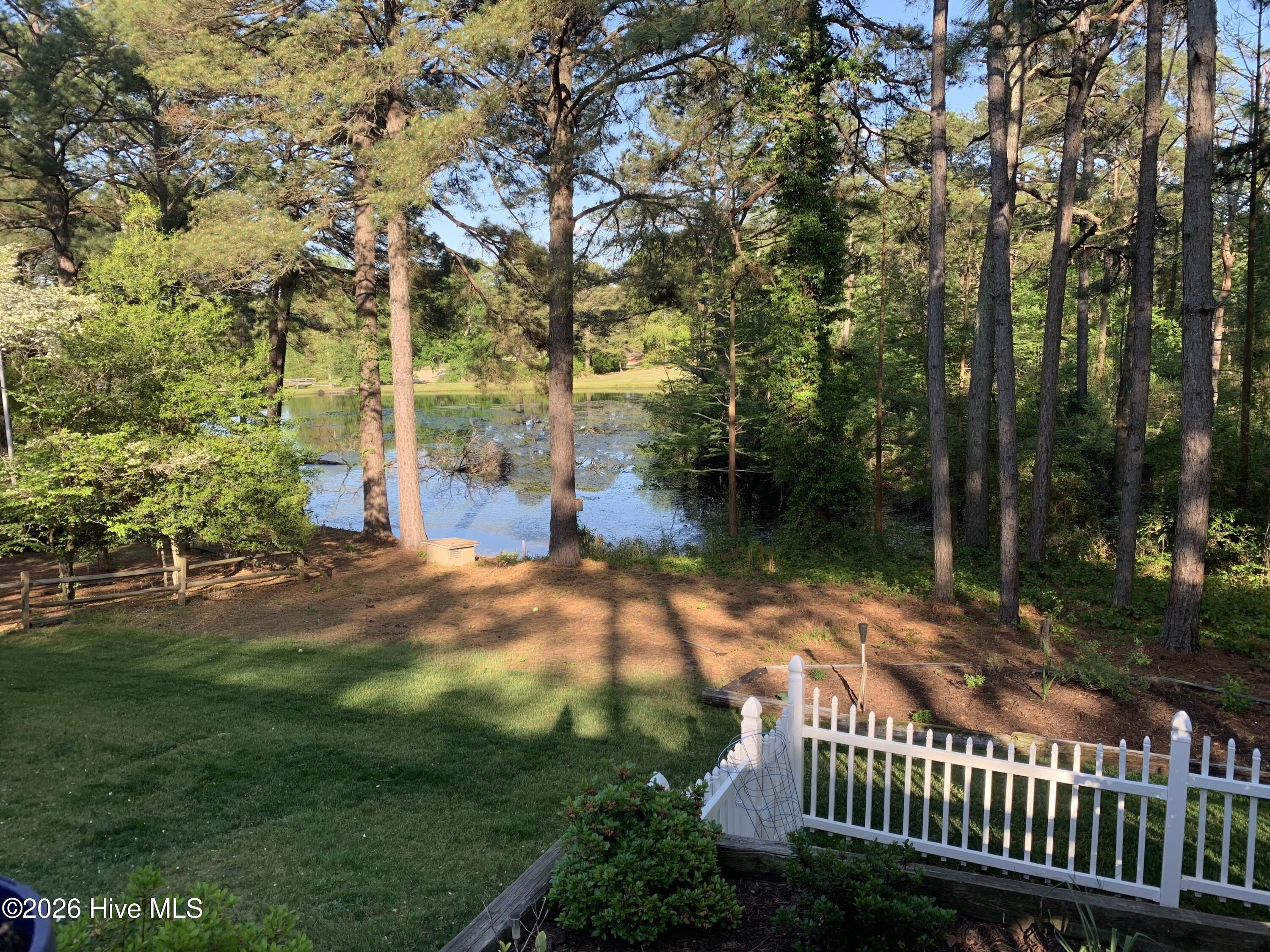 Back yard view from deck