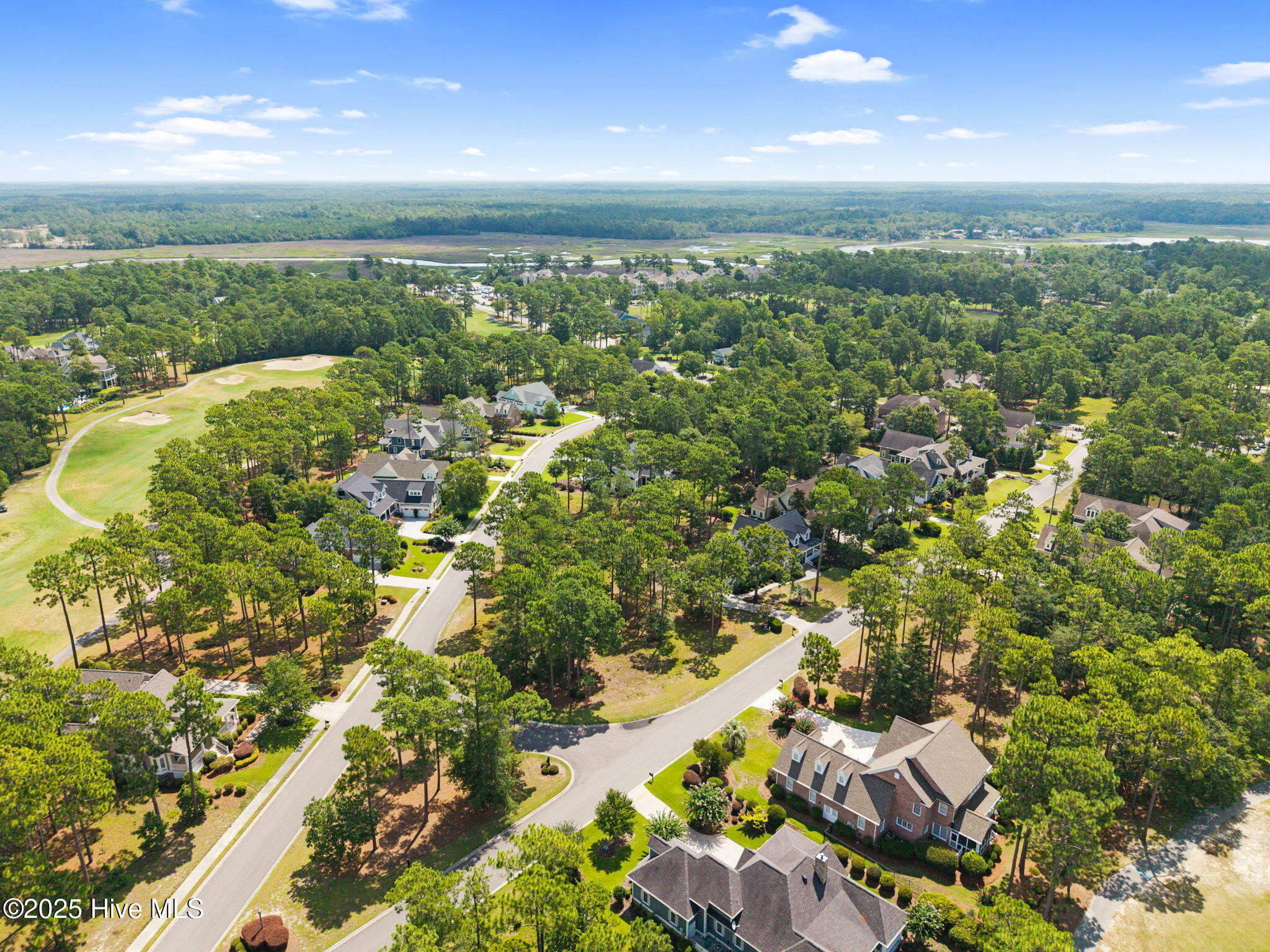 100521127 | Photo 13