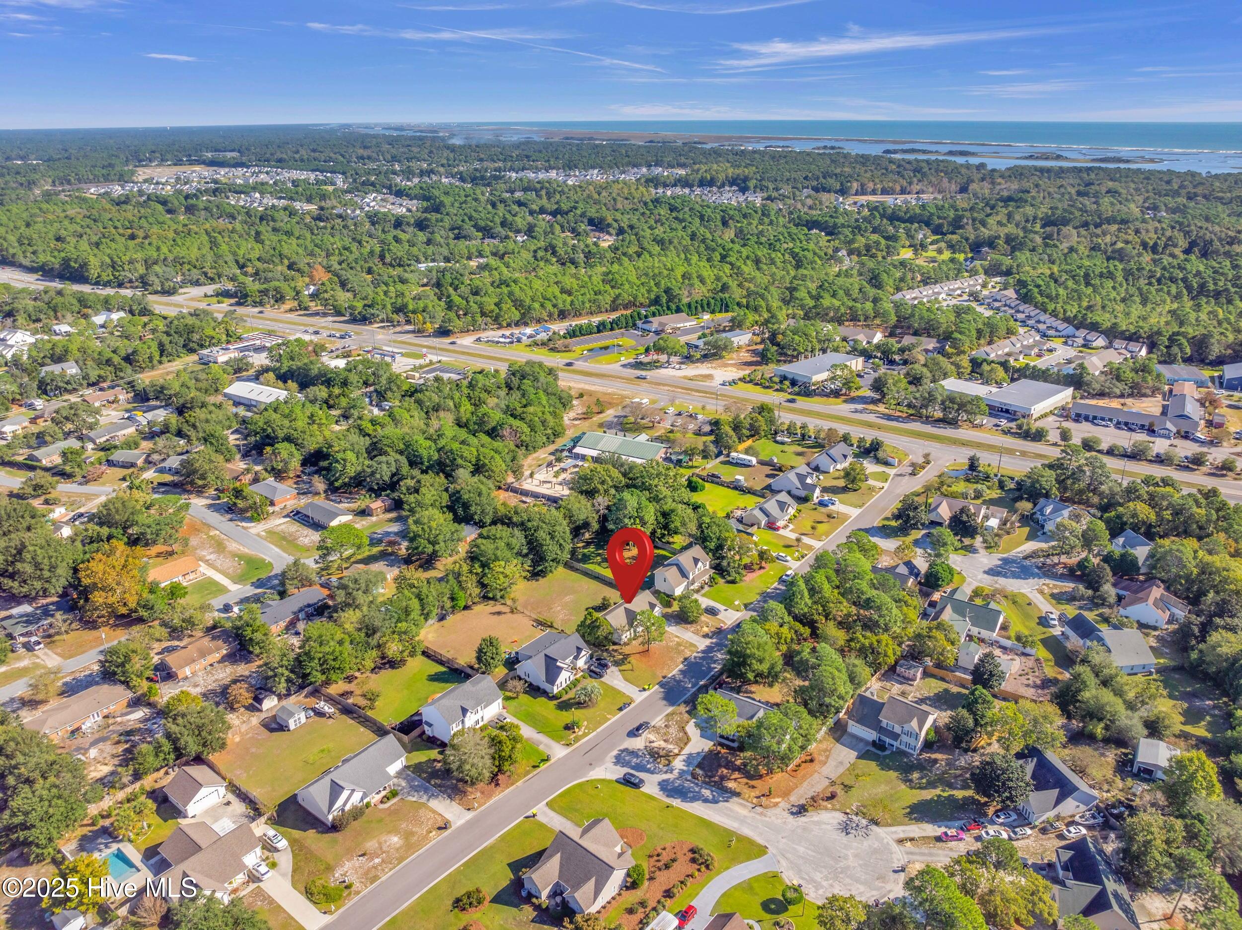 100536946 | Photo 46