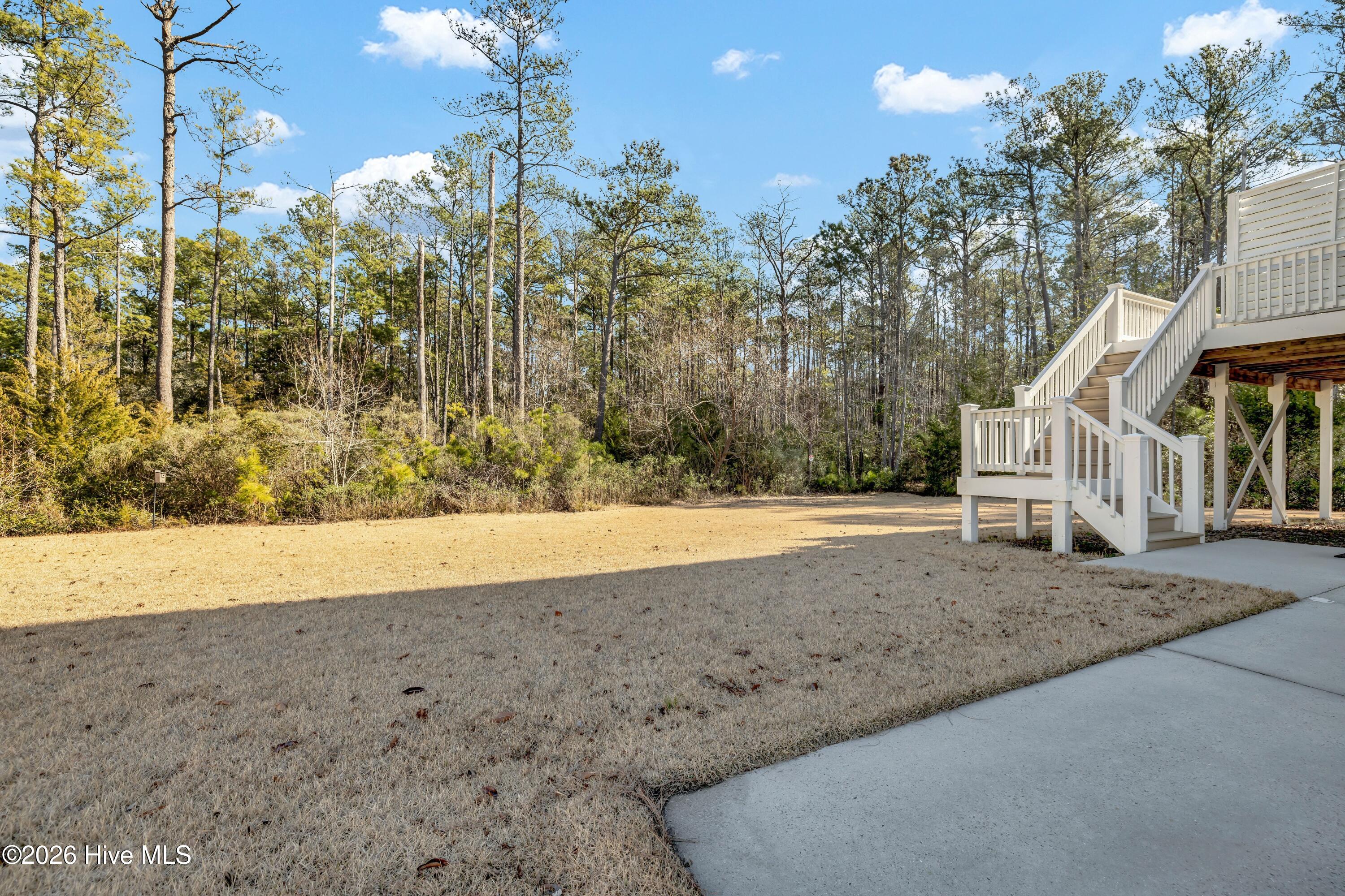 100551547 | Photo 31