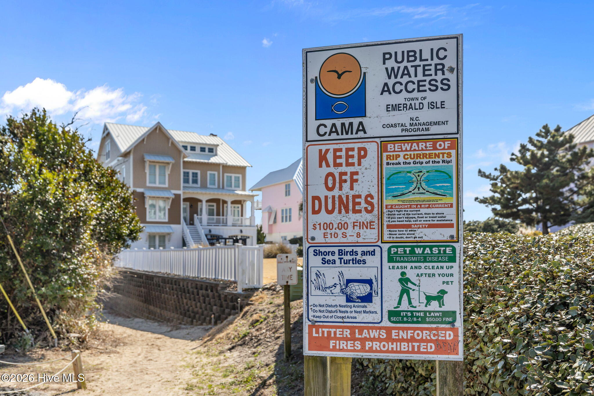 100557807 | Photo 33