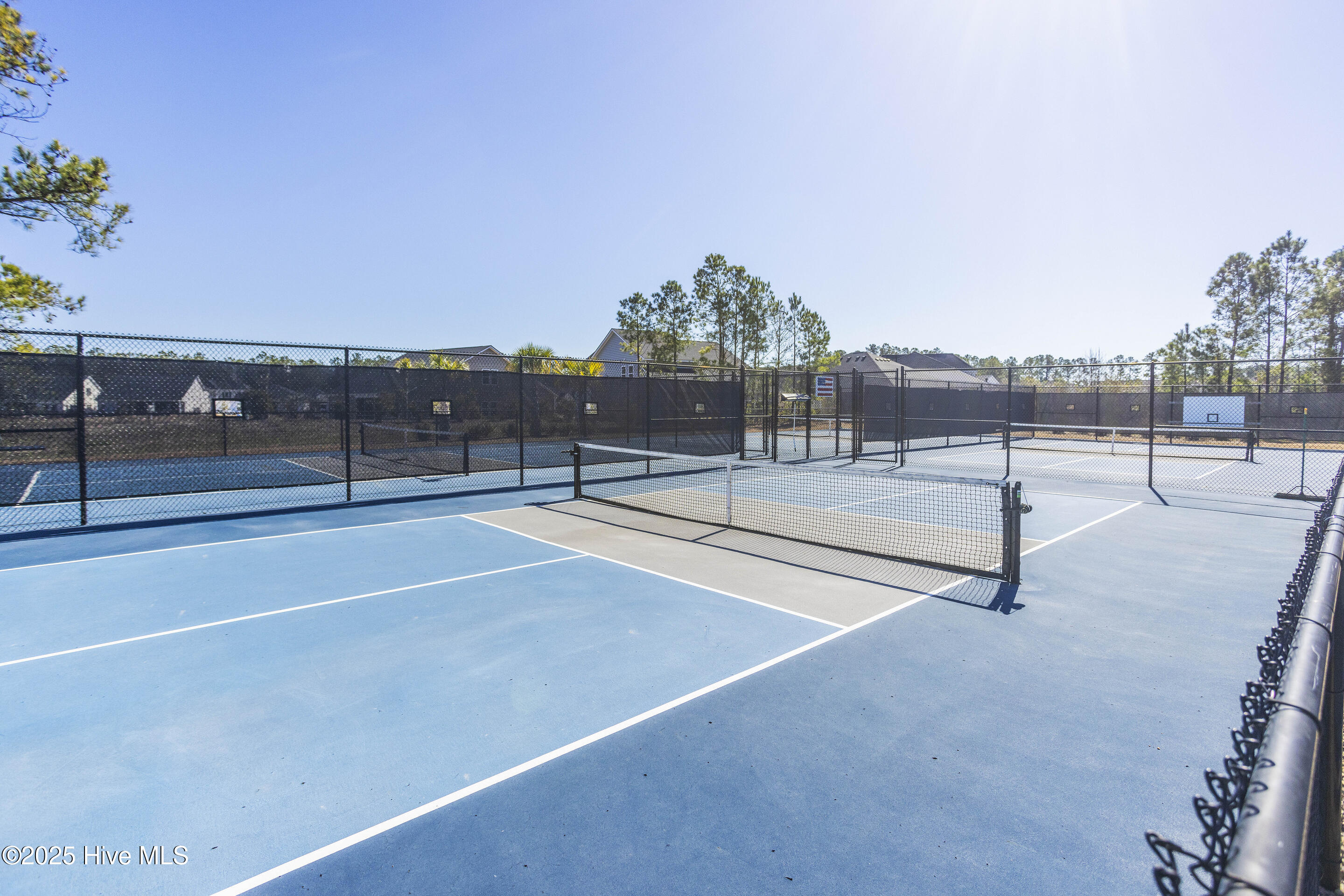 100546998 | Photo 69