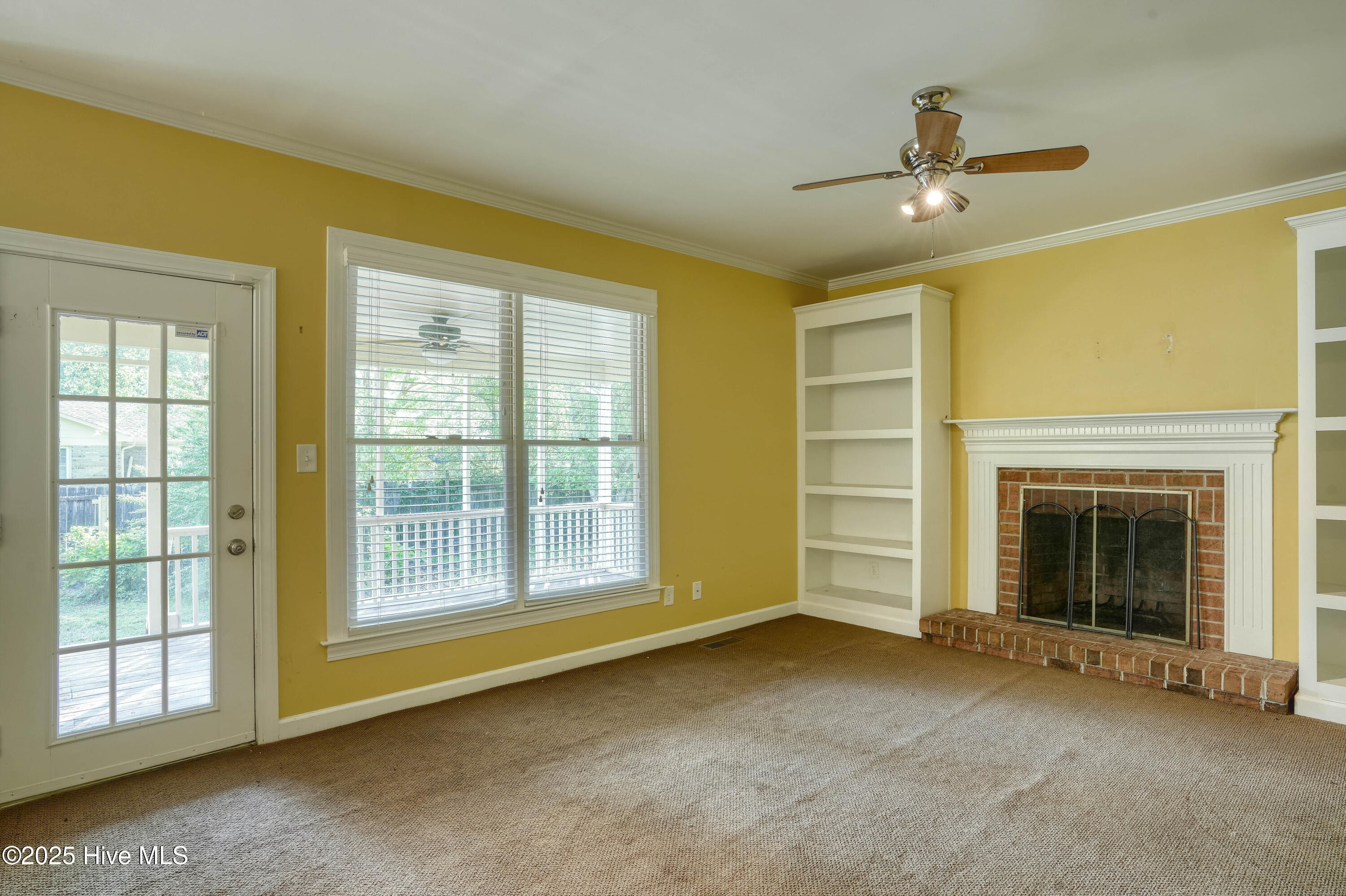 100554842 | Photo 15