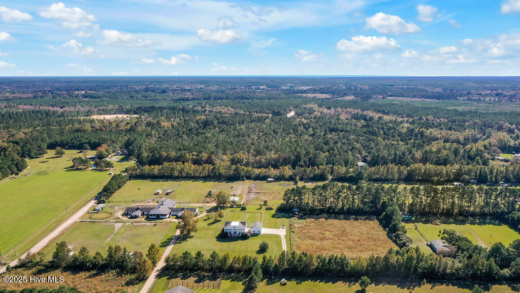 100537845 | Photo 60