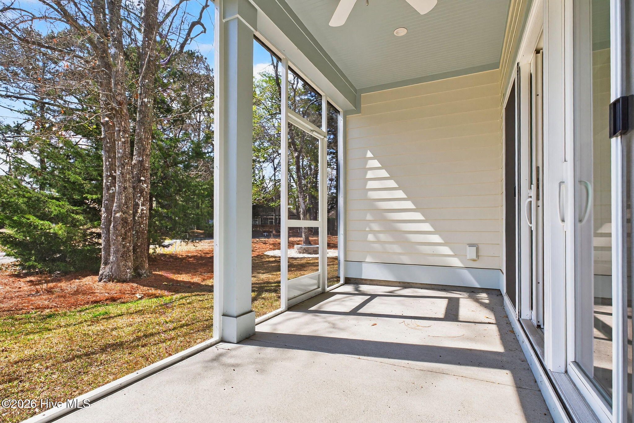 100559377 | Photo 36