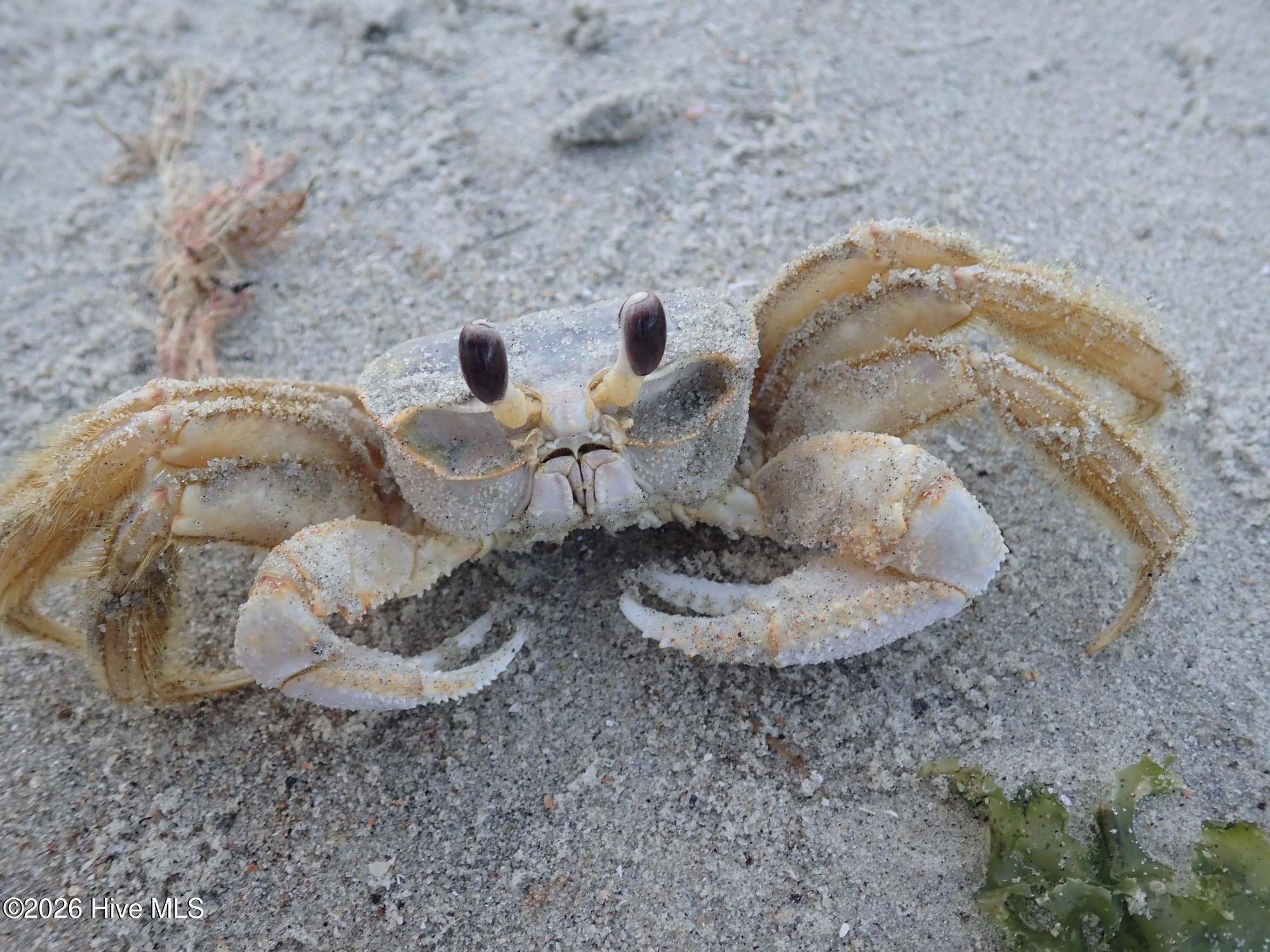 100567437 | Photo 32