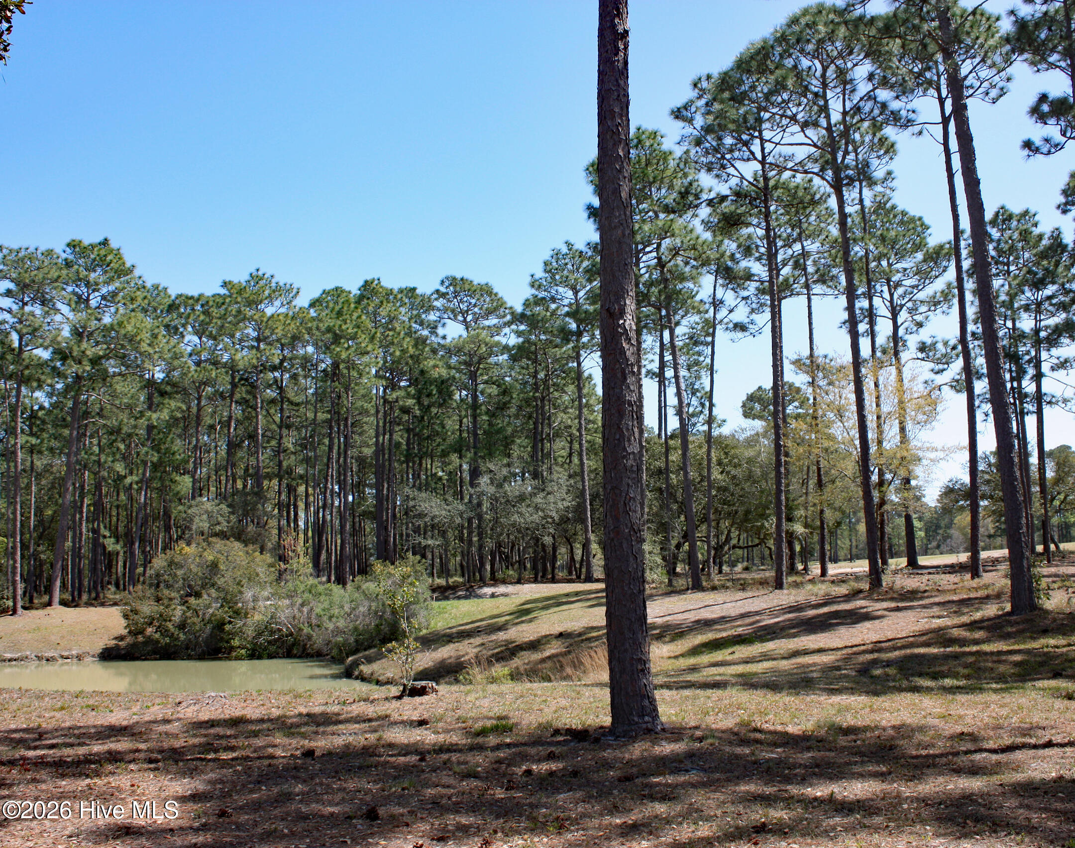 Carolina Barrier Islands