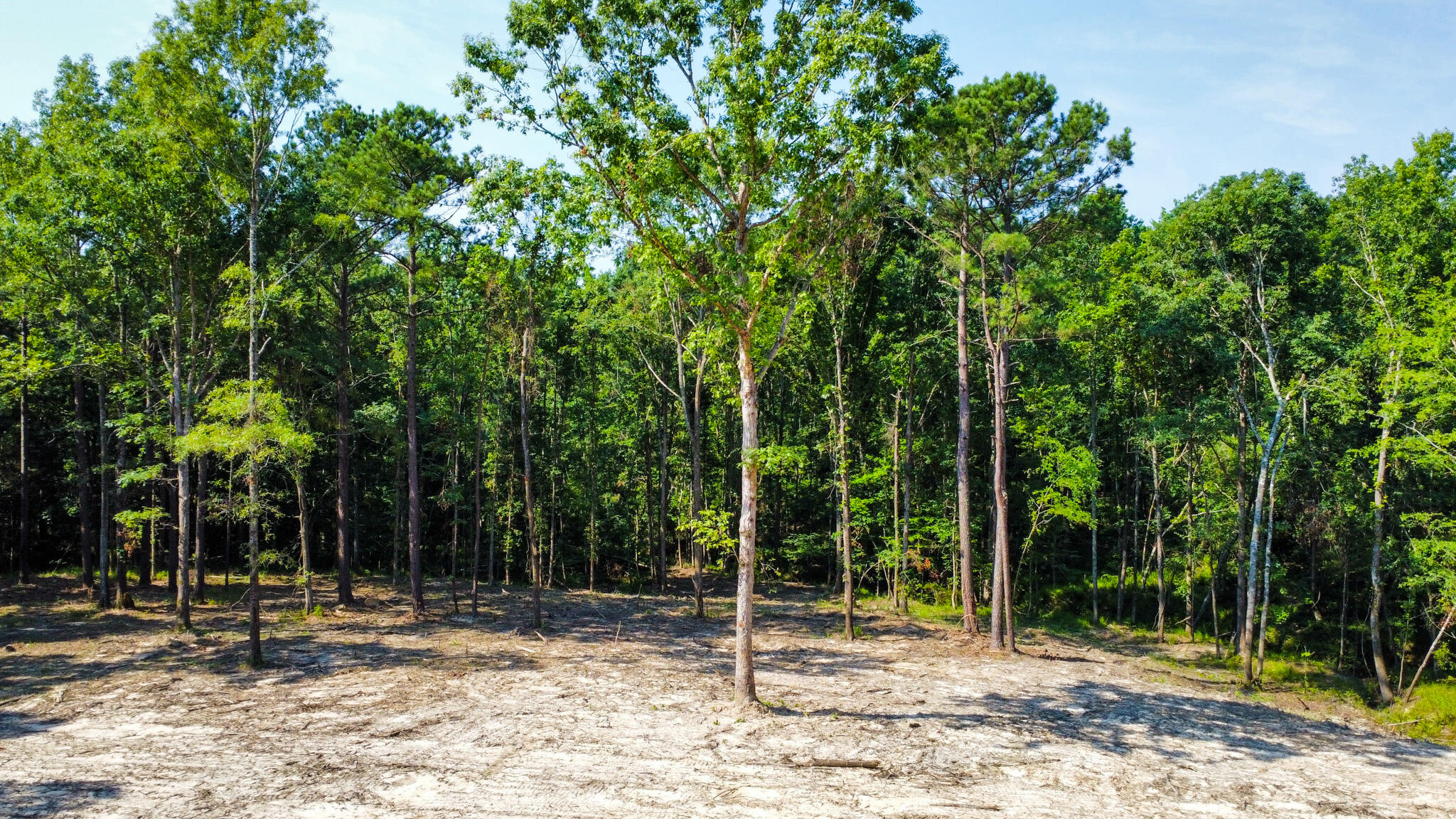 0 Backway Road, Lincolnton, GA, 30817